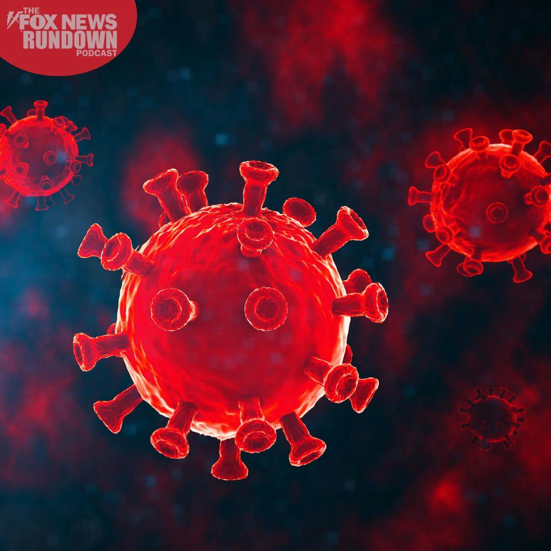 "Cover Ups & Consequences": Congress' Final Findings On COVID-19 Investigation