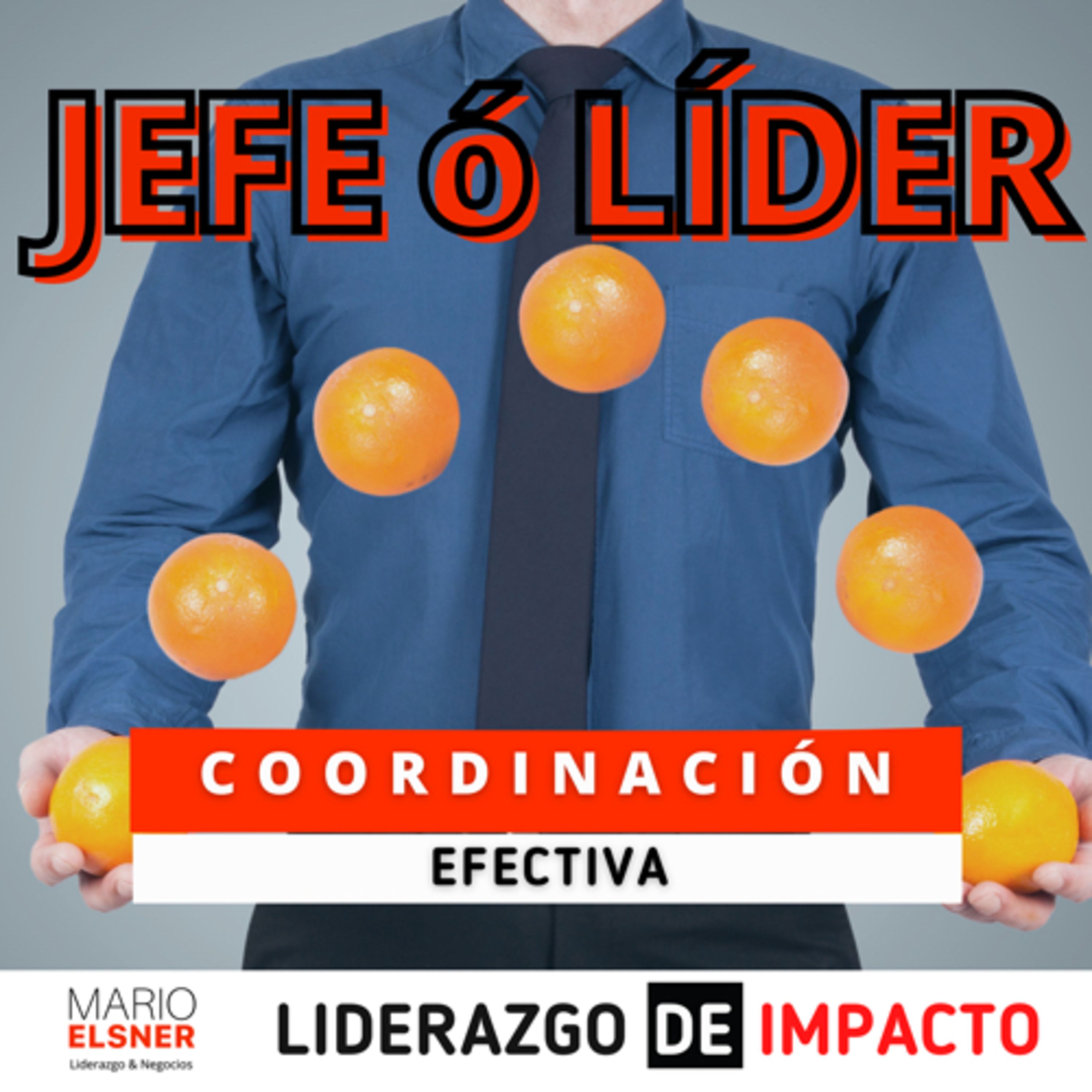 Portada de ¿Cómo lo haría un DIRECTOR?