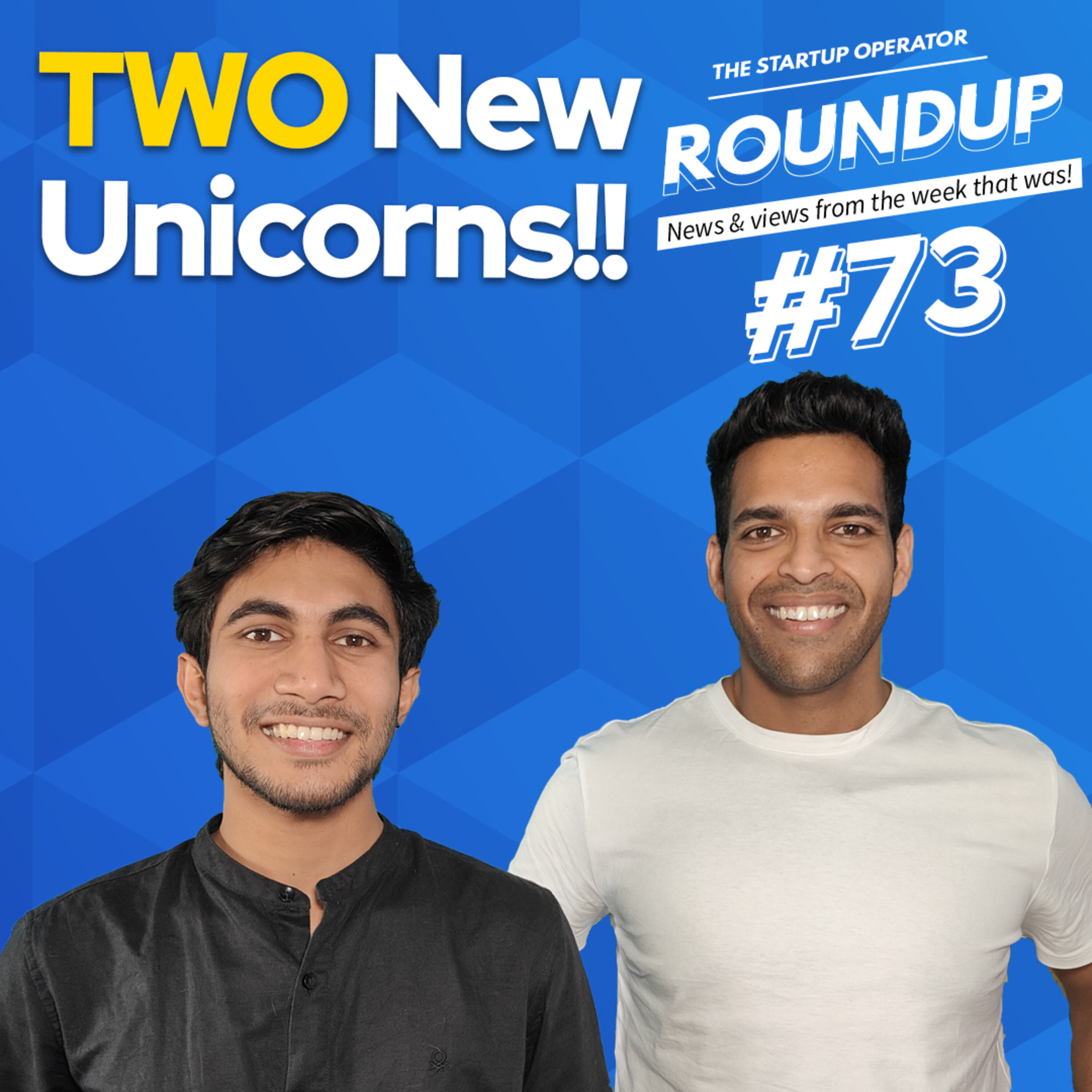 Roundup #73: Calls for a New IT Law, Two New Unicorns & other news! episode artwork