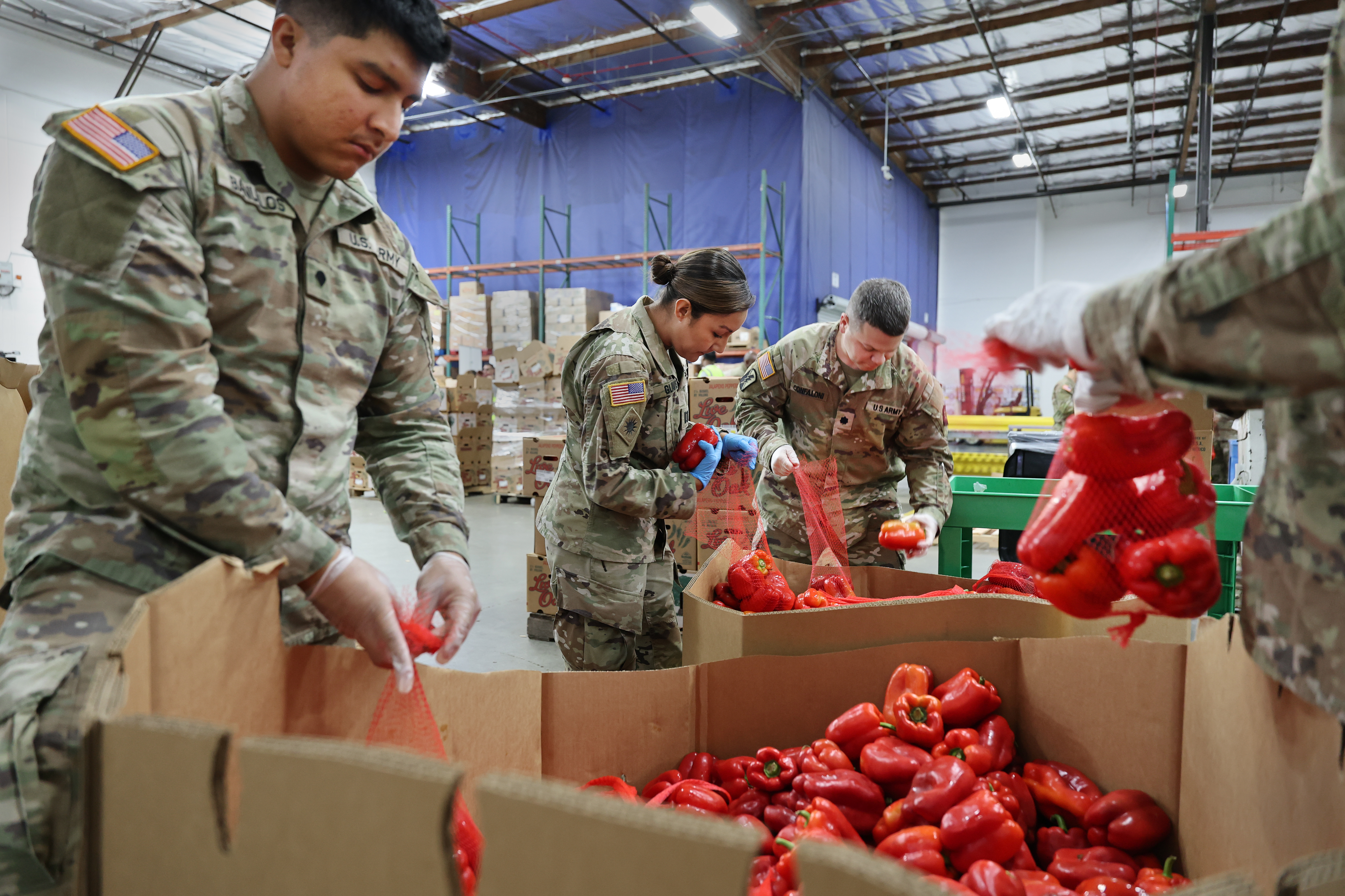 California's Food Banks Mobilize to Fill Benefits Gap Left by Gov. Shutdown