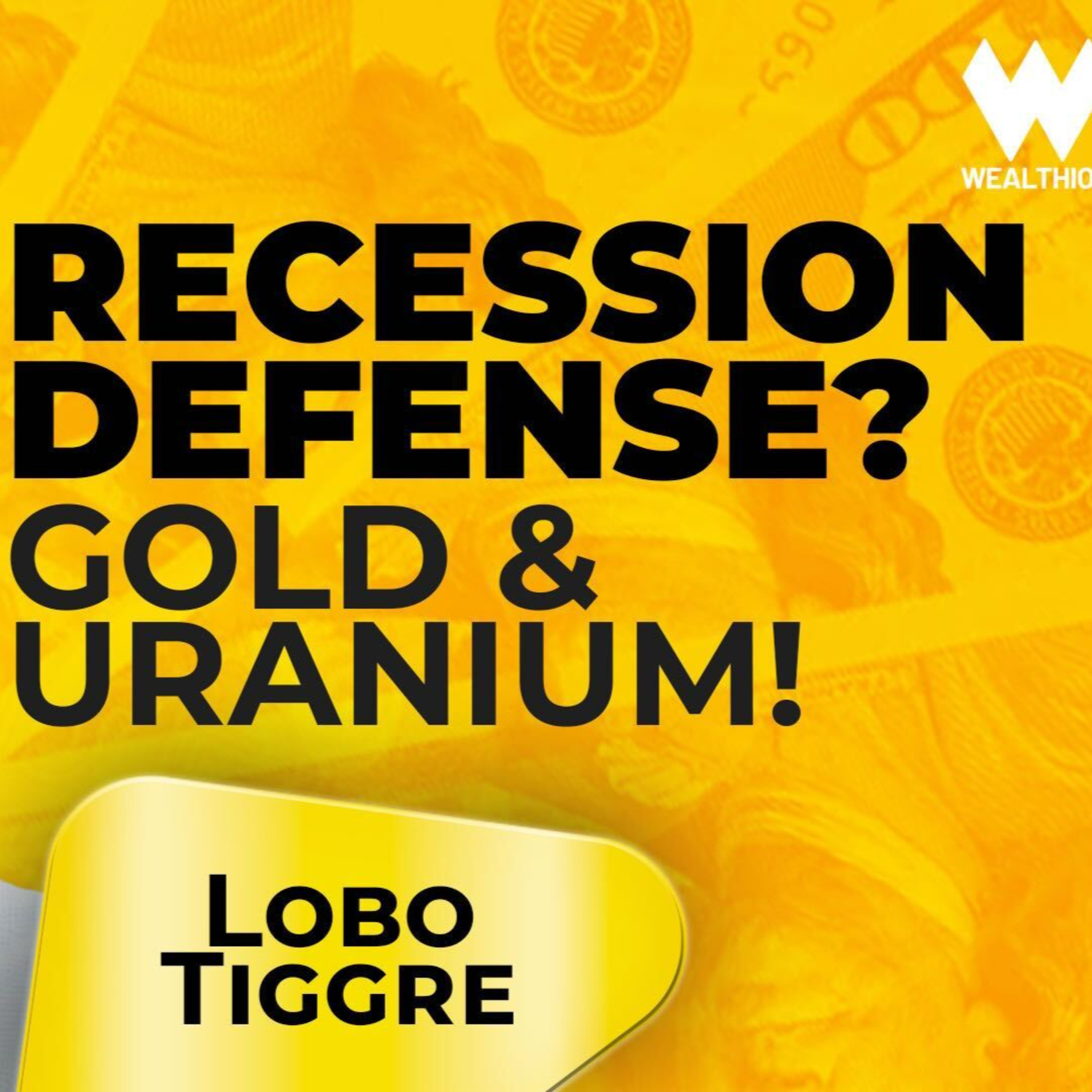 Lobo Tiggre: Recession Is Here – Why Gold & Uranium Are Your Best Bets