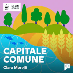 Capitale comune