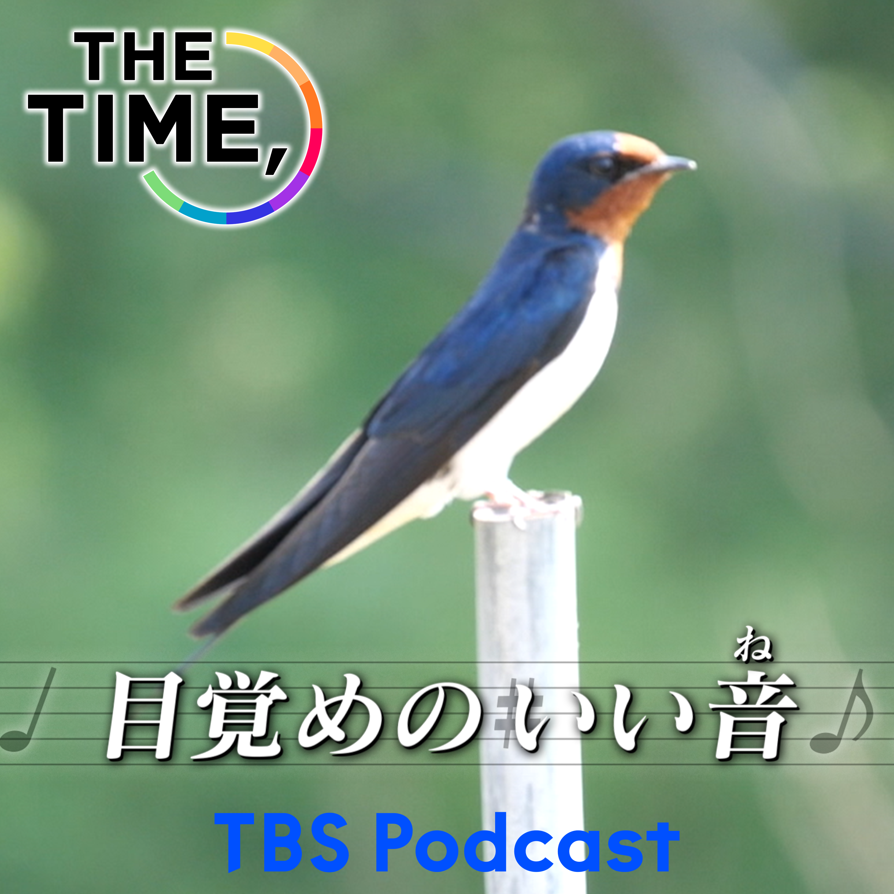 「ツバメ」 episode artwork