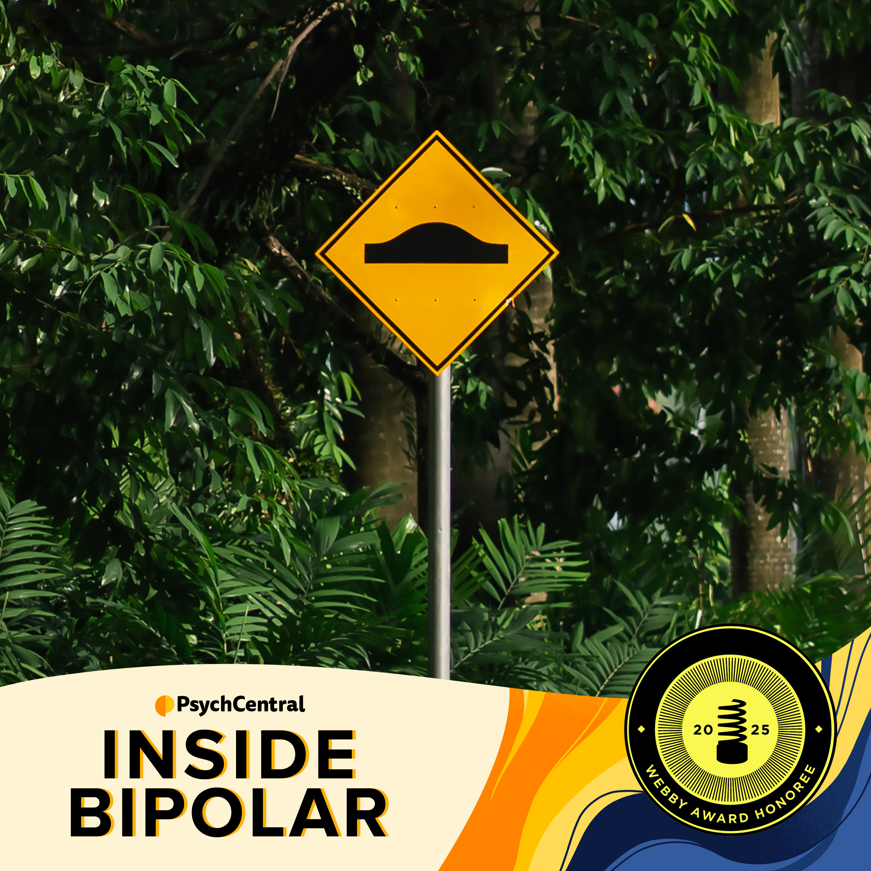 Inside Bipolar