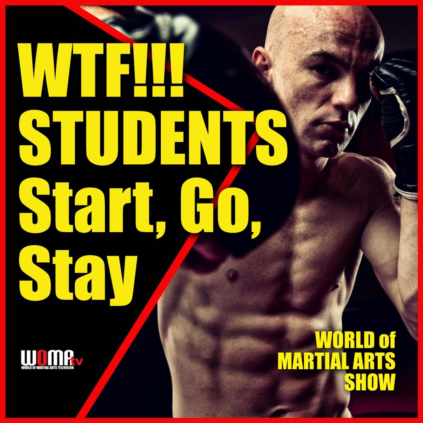 World of Martial Arts Show