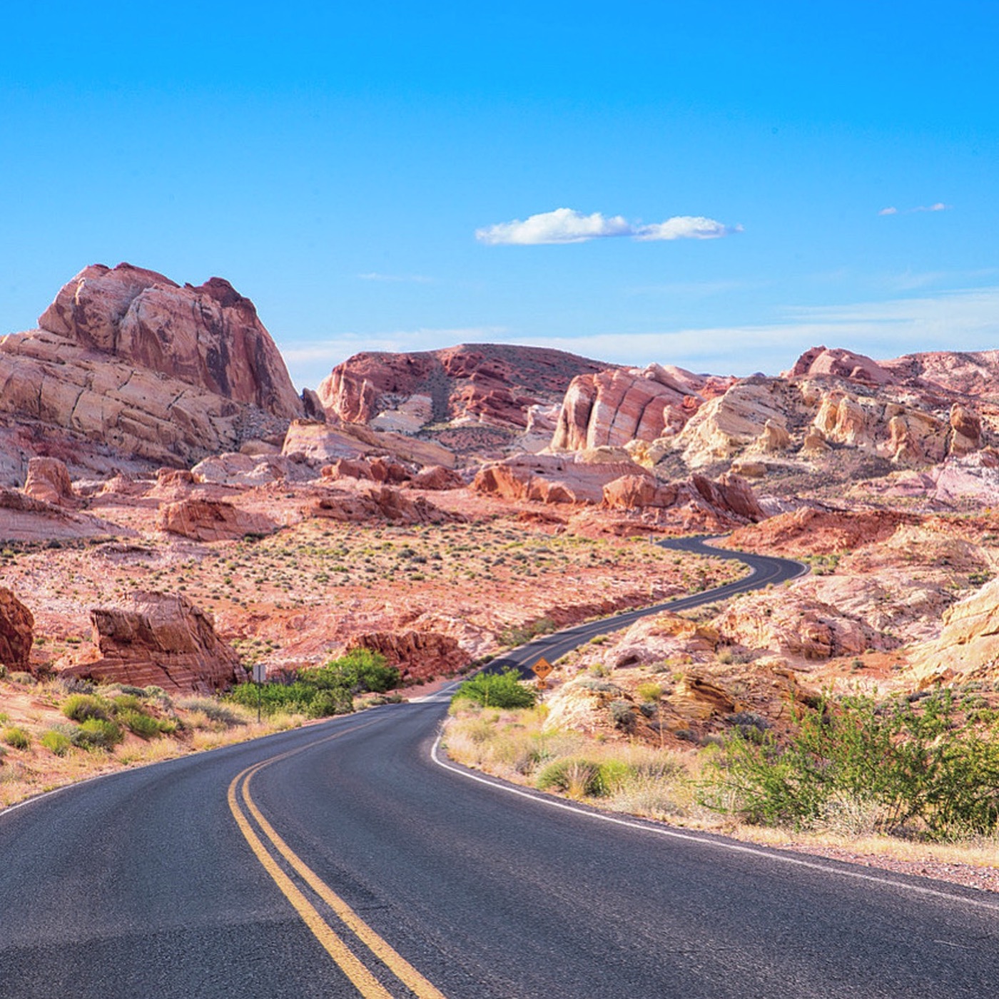 #14: Outdoorsy in Vegas