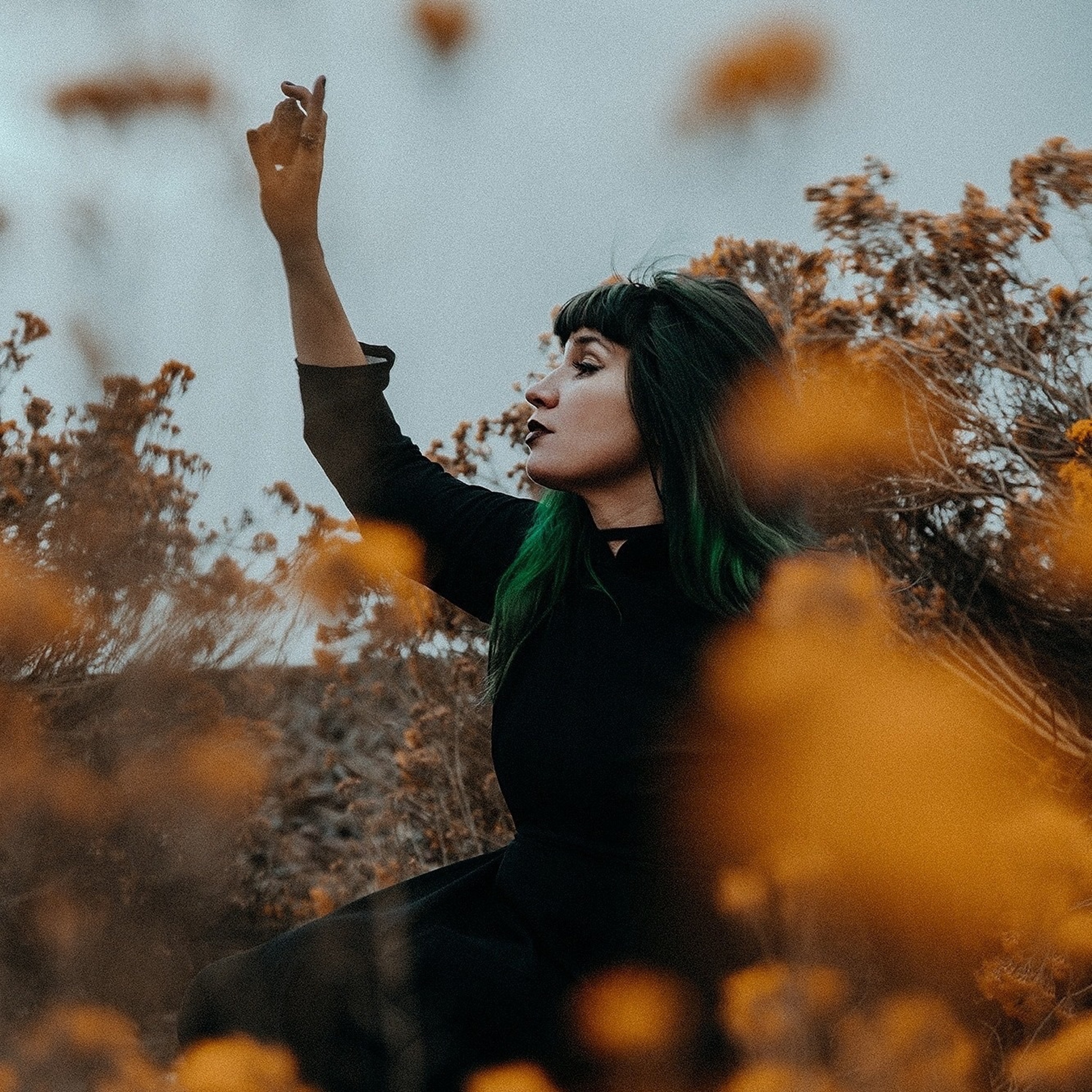 The Arwen Lewis Show