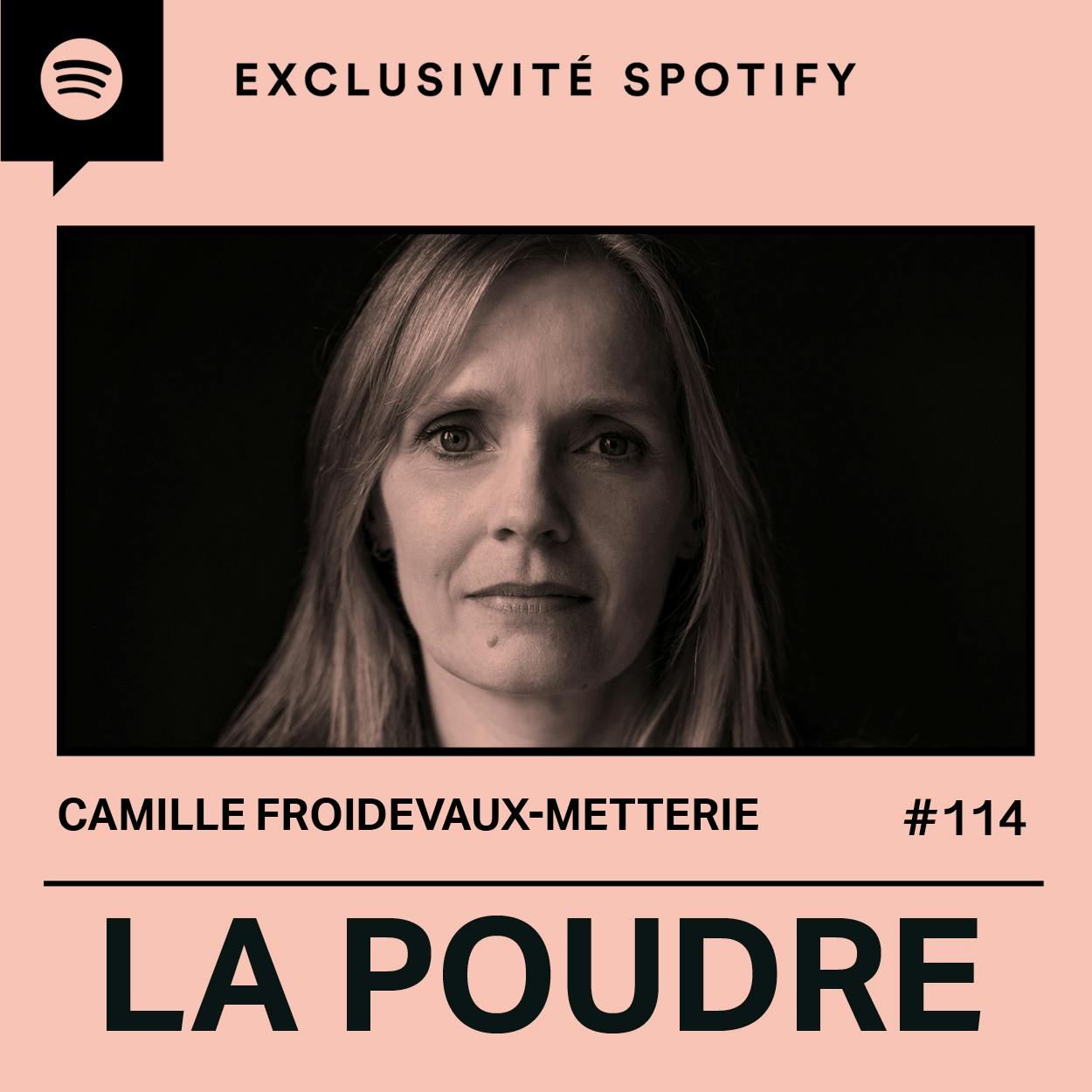 Épisode 114 - Camille Froidevaux-Metterie