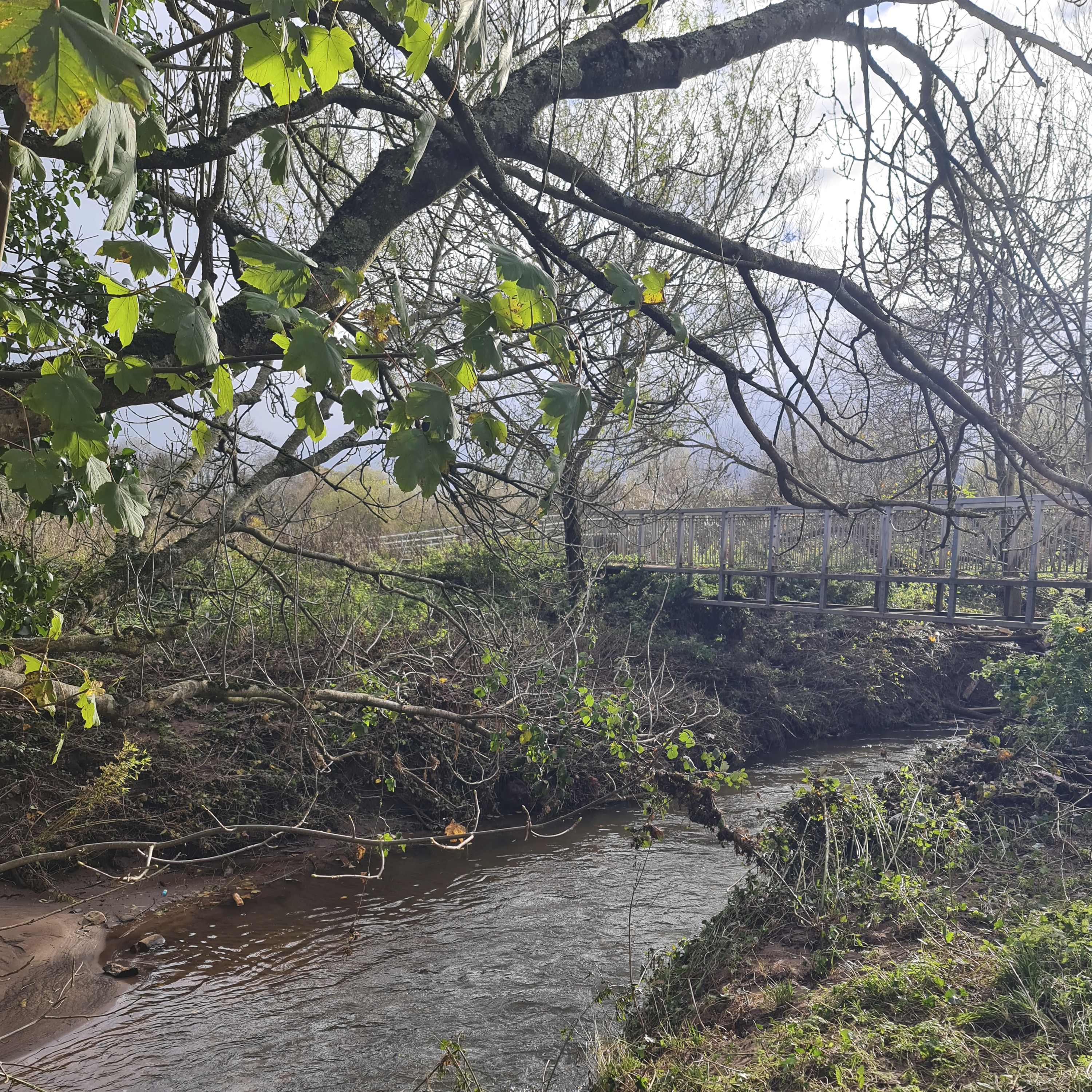 Sound Escape 250. Swollen by days of rain, the stream has a new song