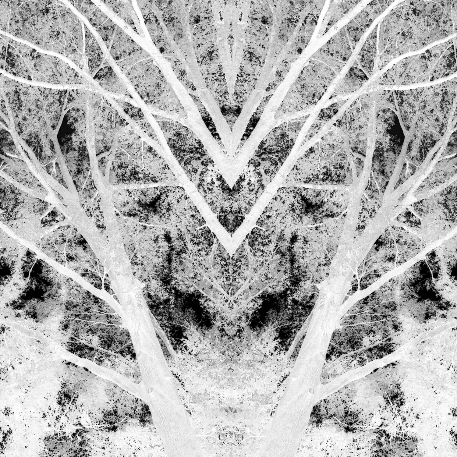 Spoken Signal Podcast: Hidden Folk