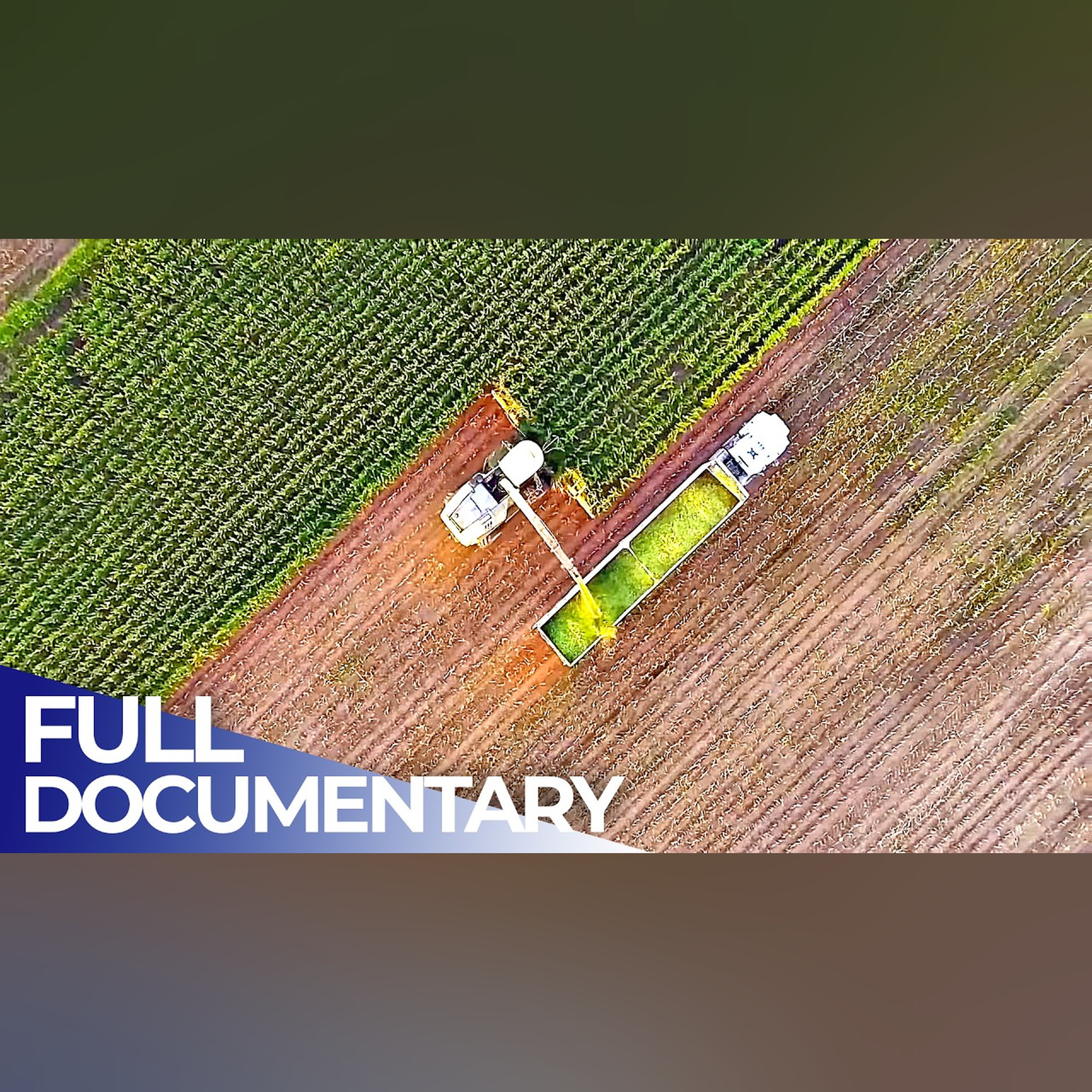 Agricultural Landmarks: Technologies to Feed the World | FD Engineering