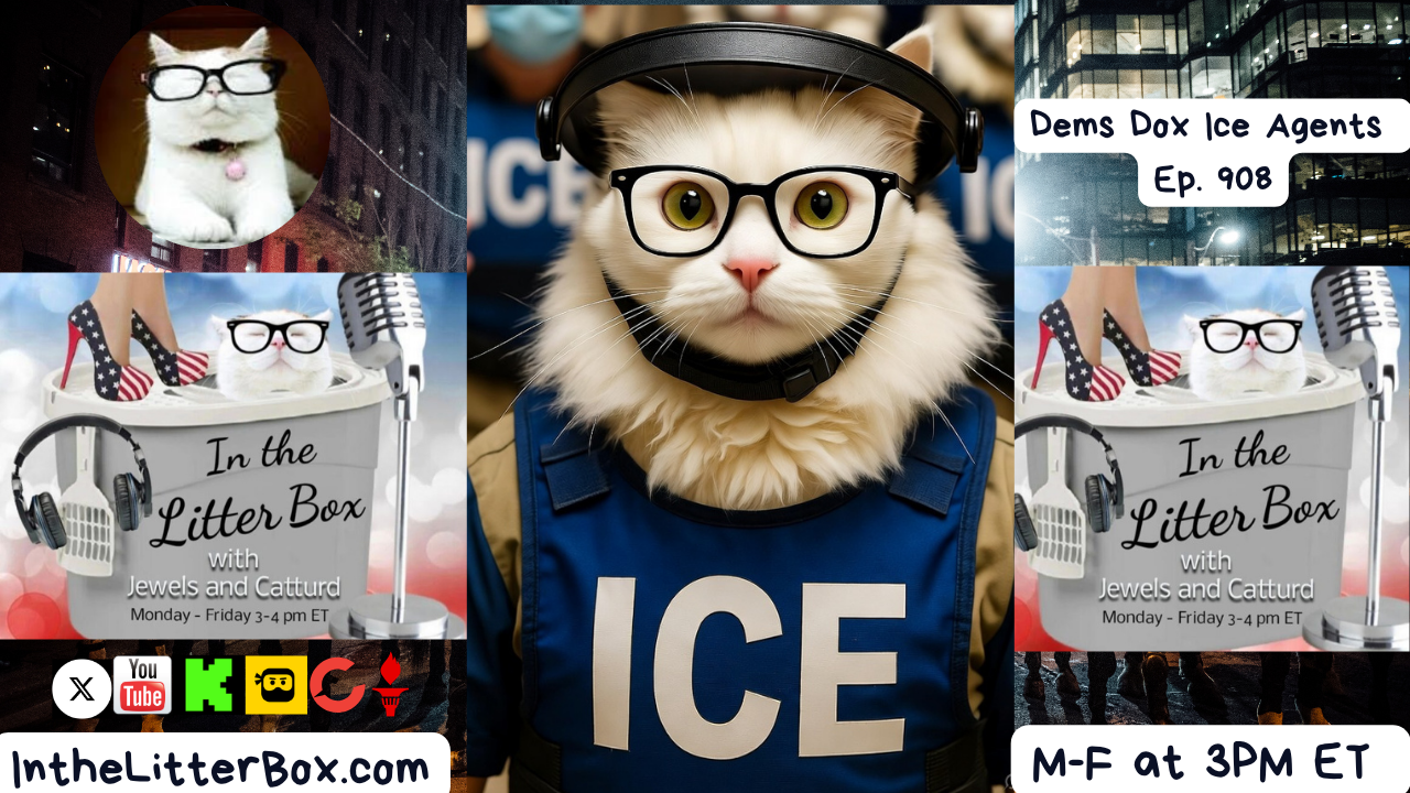 Dems Dox Ice Agents | In the Litter Box w/ Jewels & Catturd – Ep. 908 – 10/23/2025
