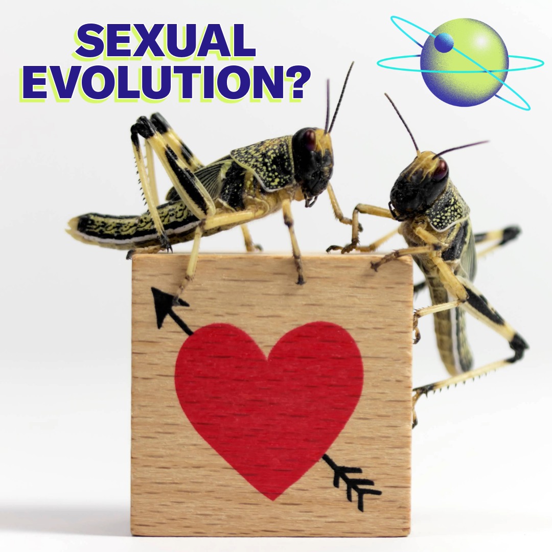 Nature’s Sexual Spectrum Breaks the Binary