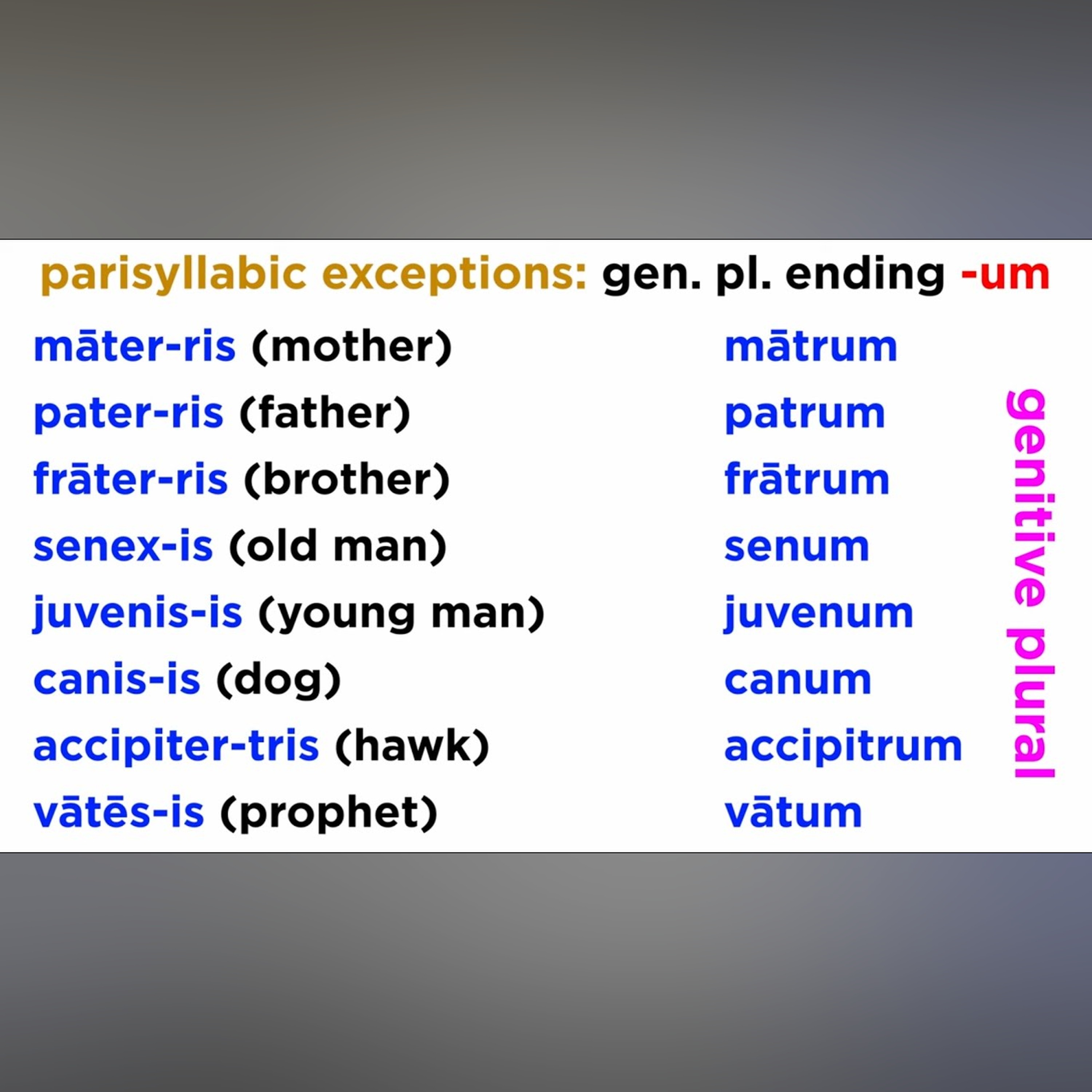 Third Declension Nouns in Latin Part 4: Parisyllabic Exceptions episode artwork