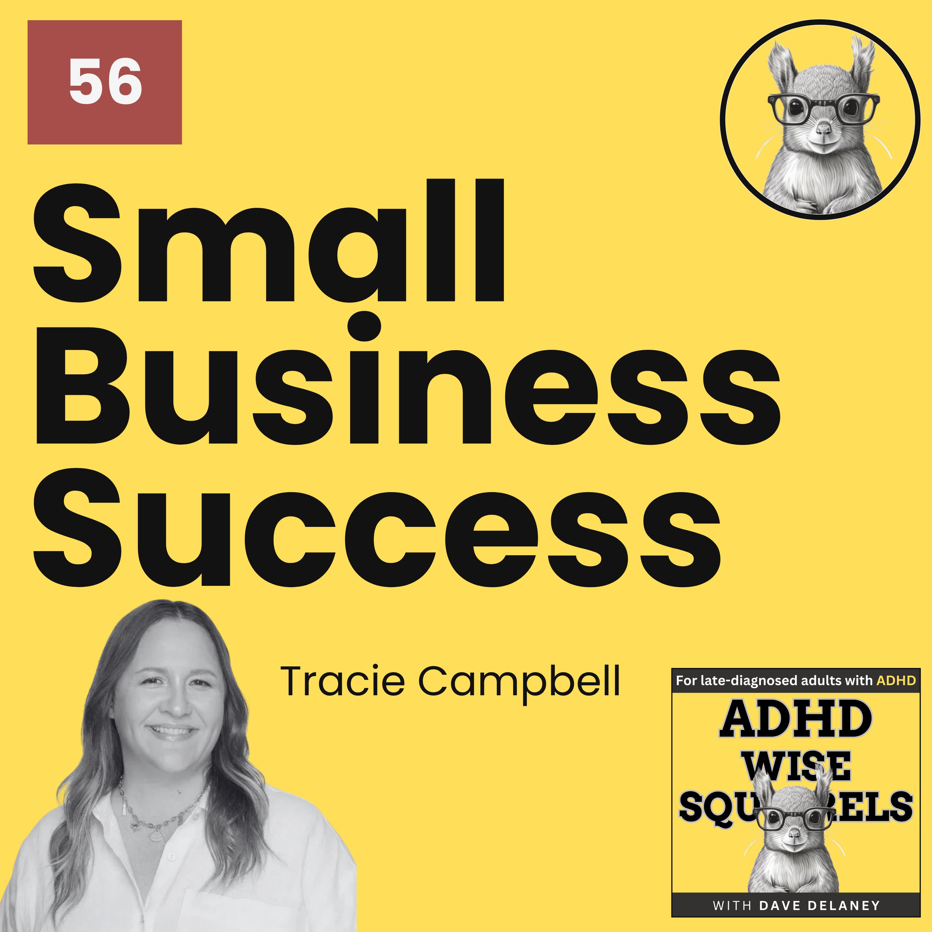 ADHD Wise Squirrels for late-diagnosed adults with ADHD.