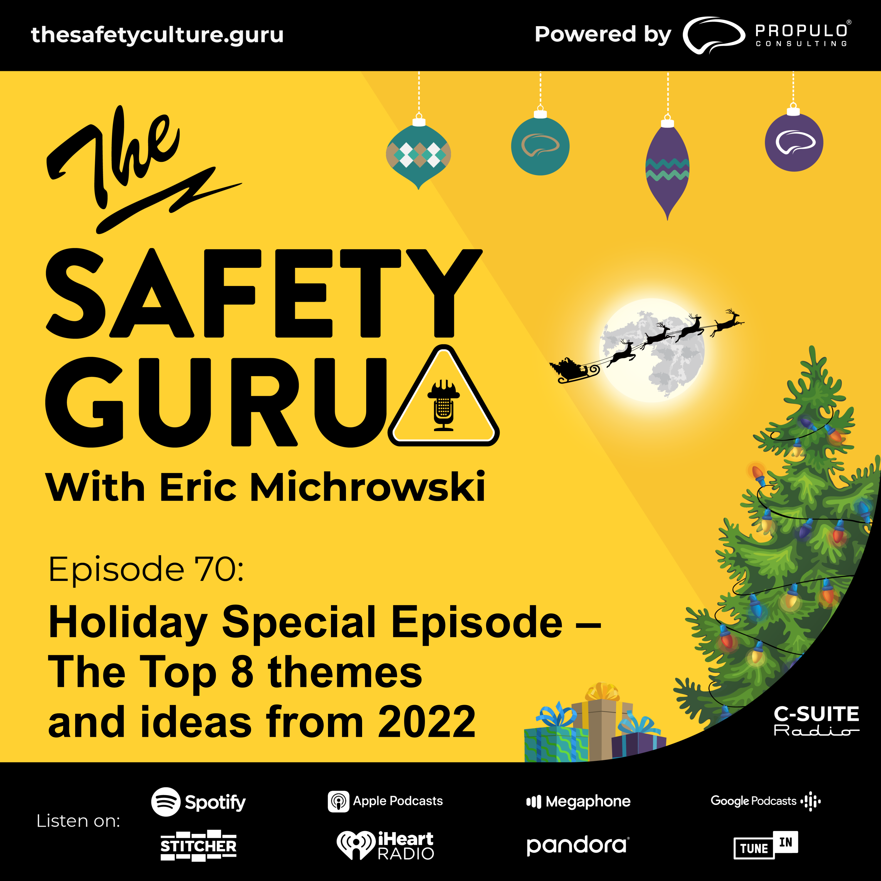 The Safety Guru