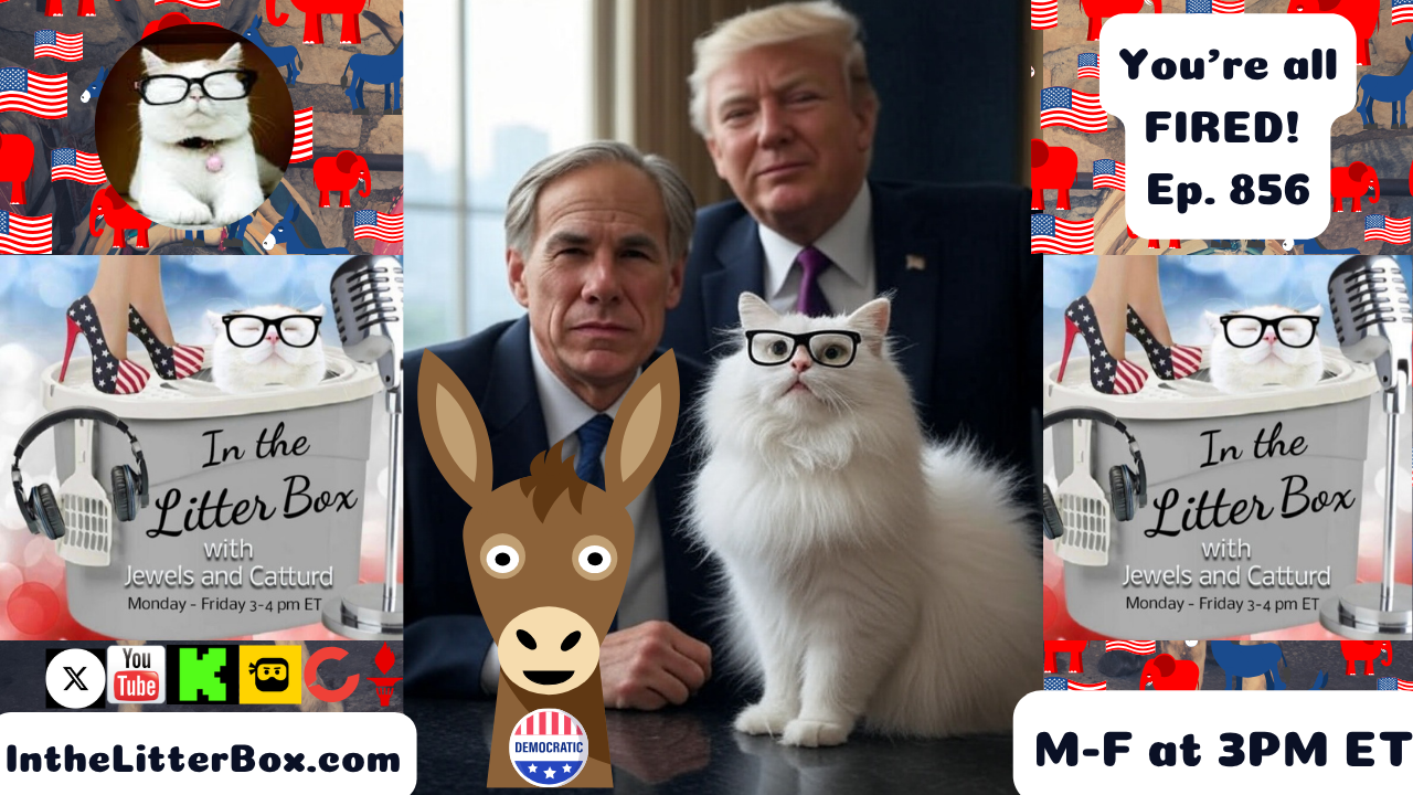 You're all FIRED! | In the Litter Box w/ Jewels & Catturd – Ep. 856 – 8/5/2025