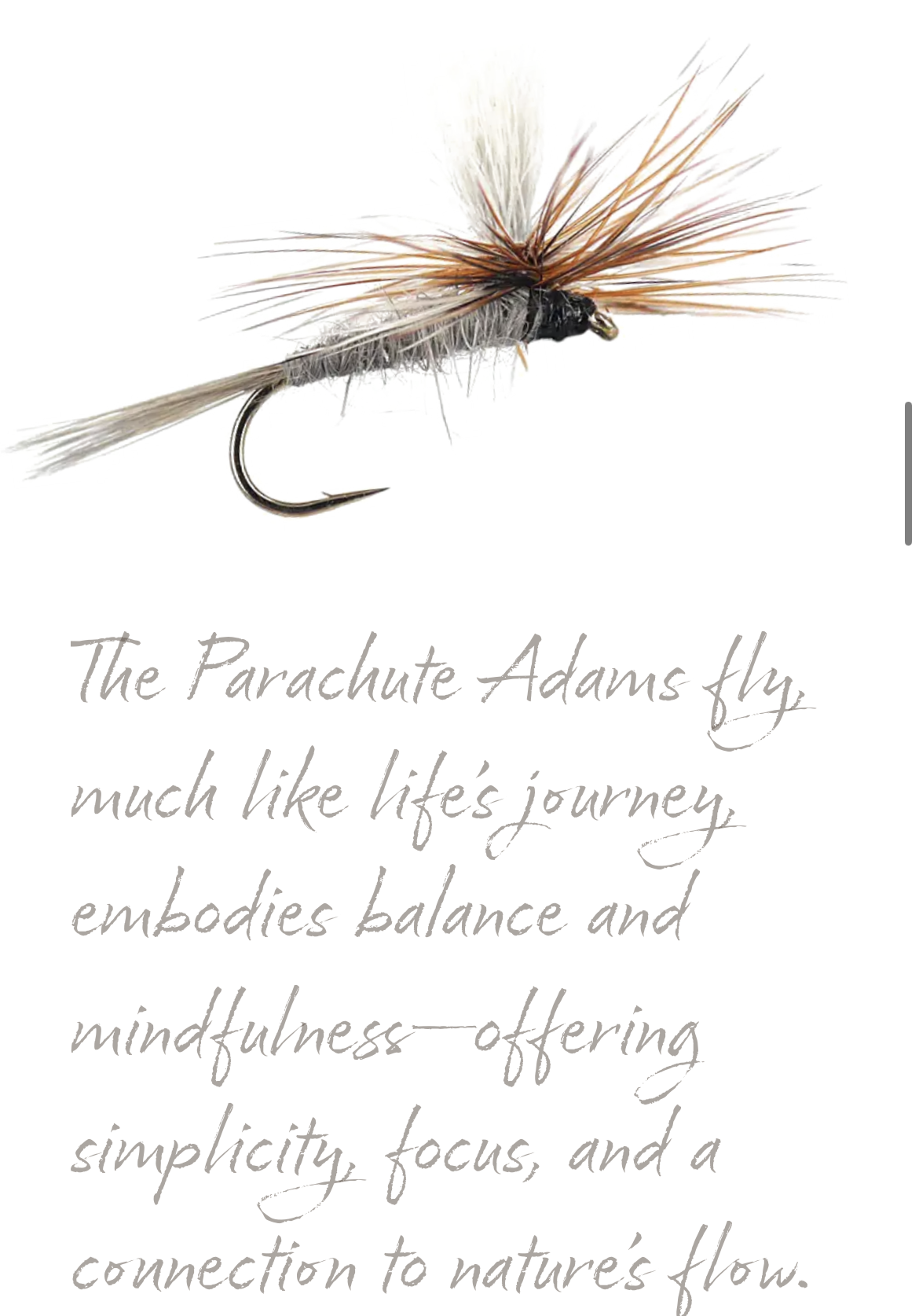 Jim Faust | Adams Parachute  | Empowering Recovery From Addiction episode artwork