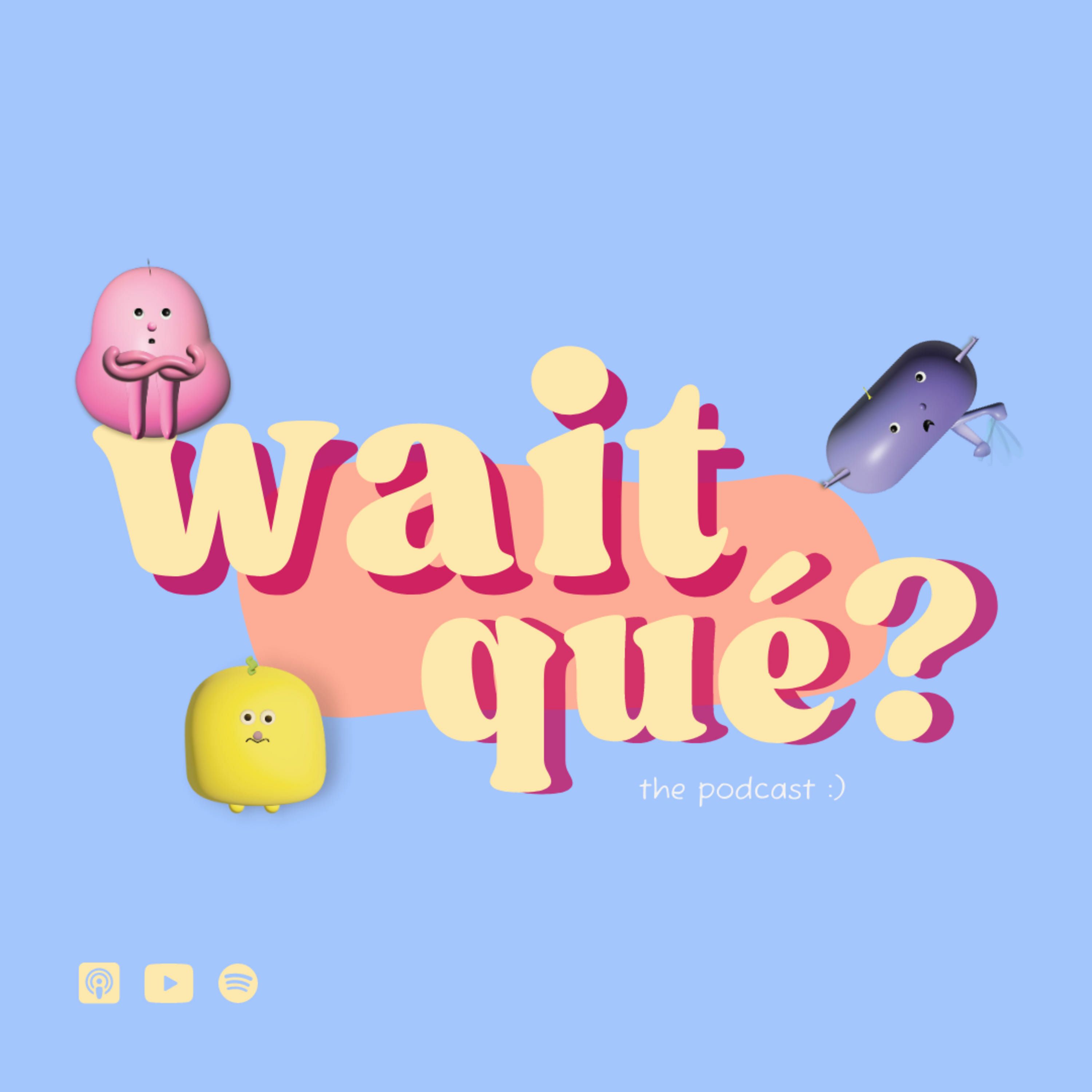 Wait, qué?