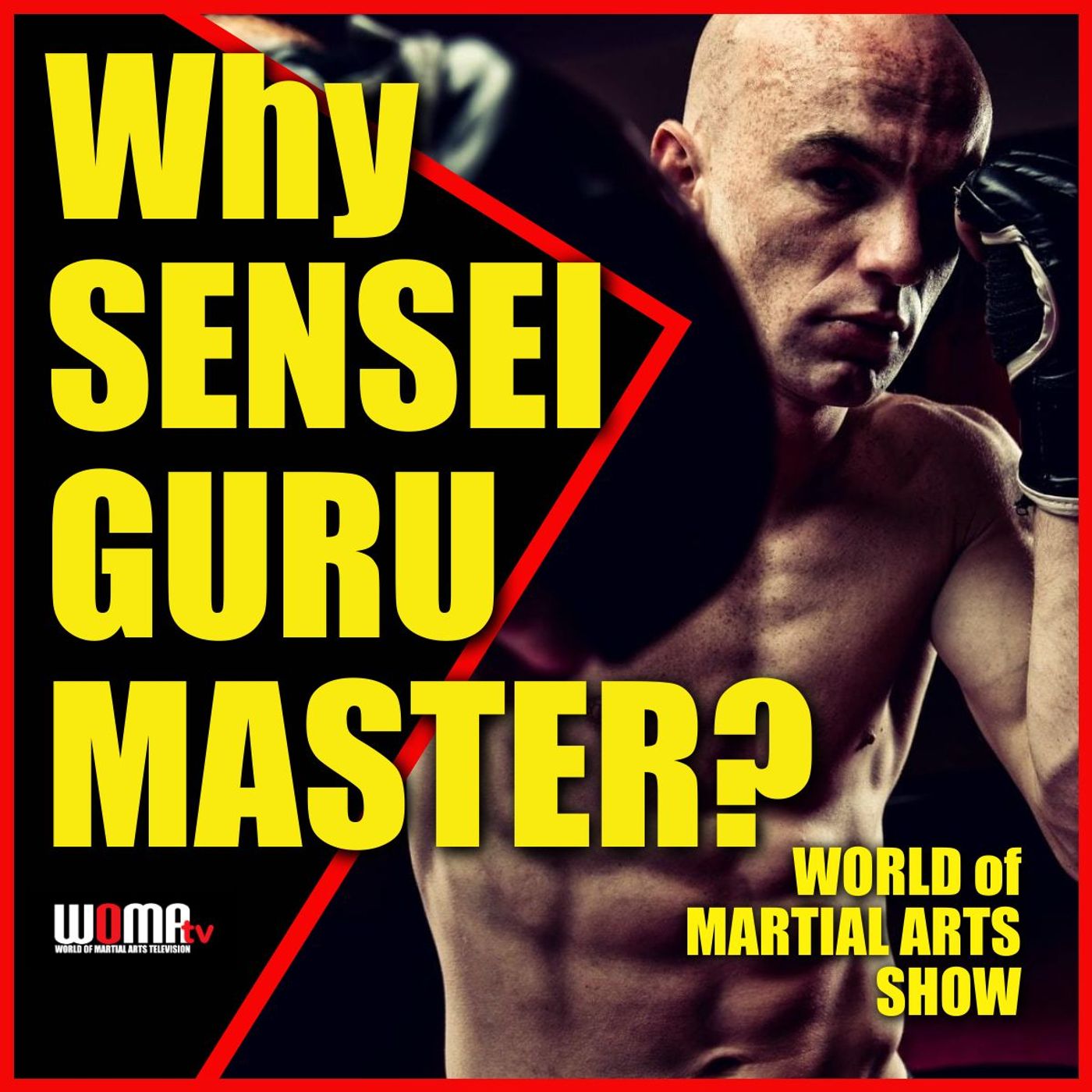World of Martial Arts Show