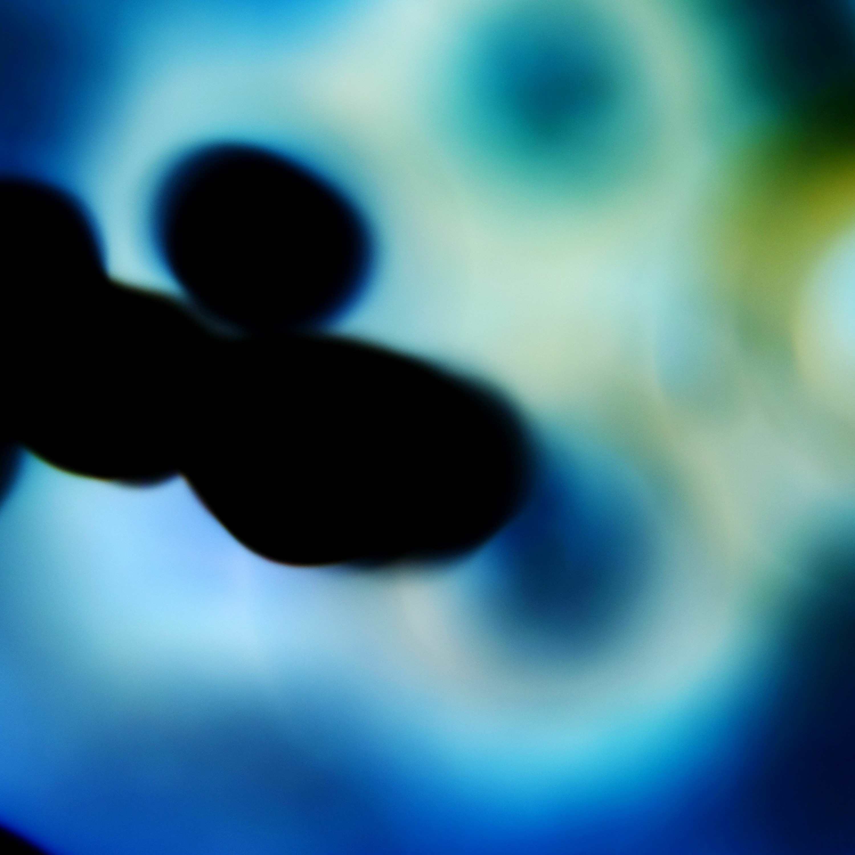 Entrevistas Especulativas