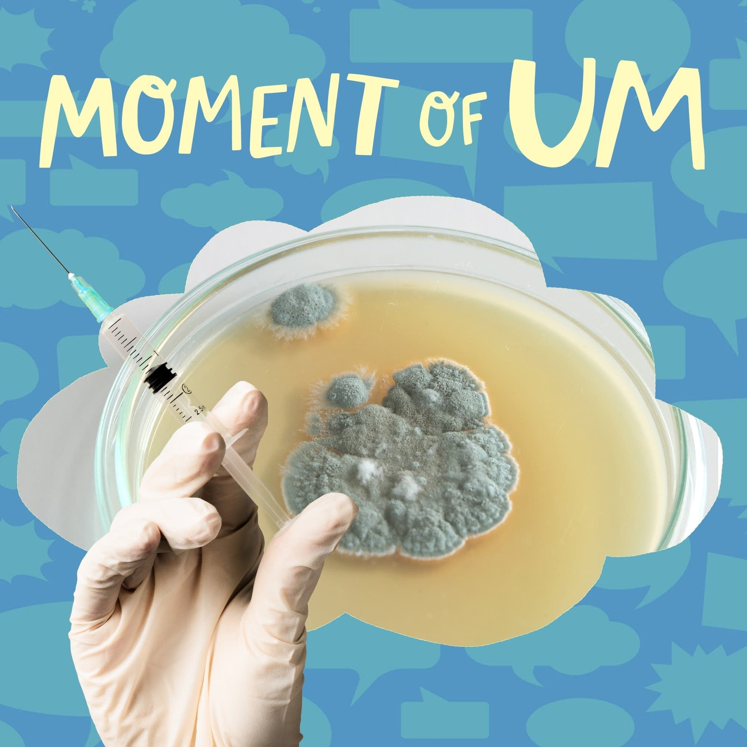 How can mold be used for medicine?