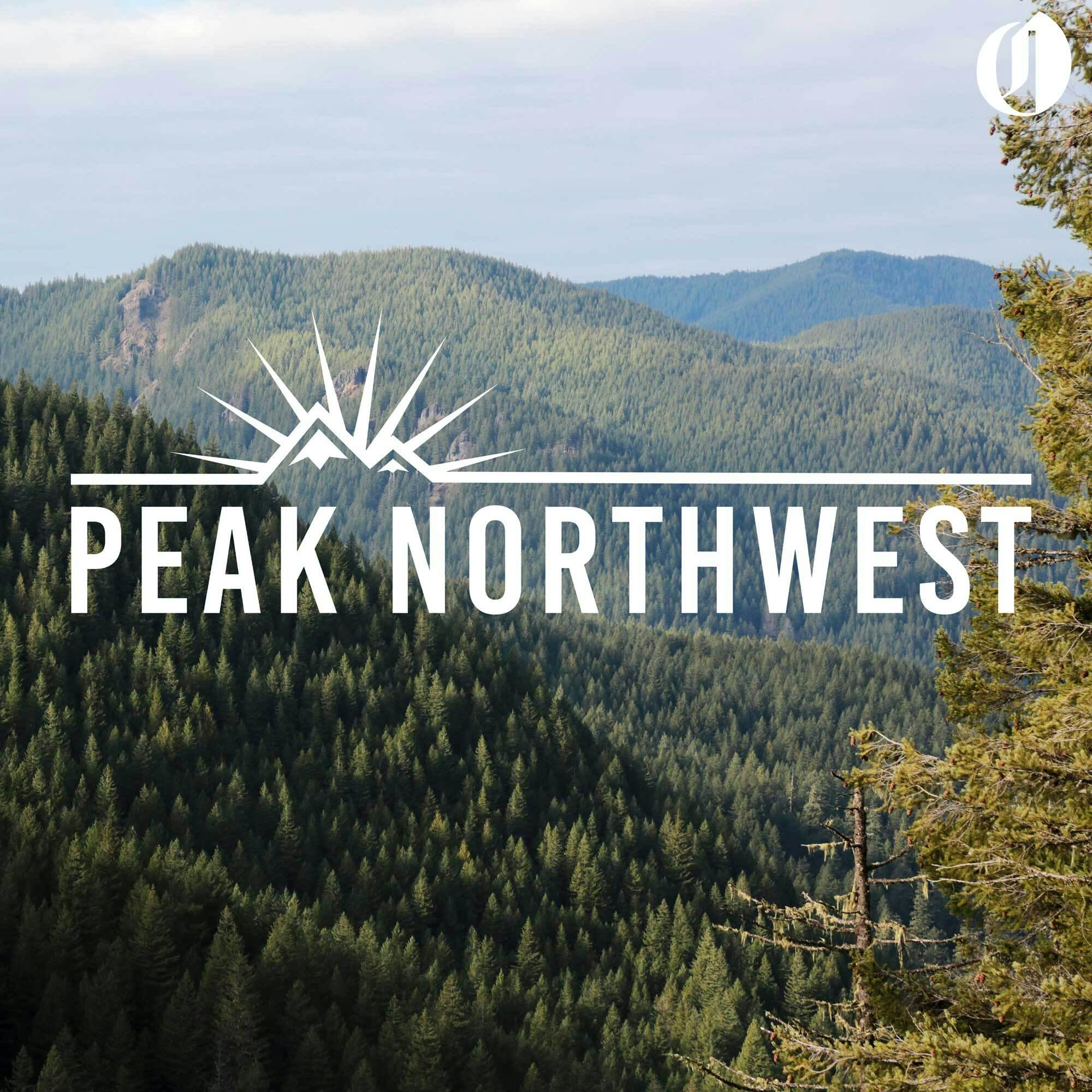 6 best hikes in Mt. Hood's Salmon-Huckleberry Wilderness 6 best hikes in Mt. Hood's Salmon-Huckleberry Wilderness