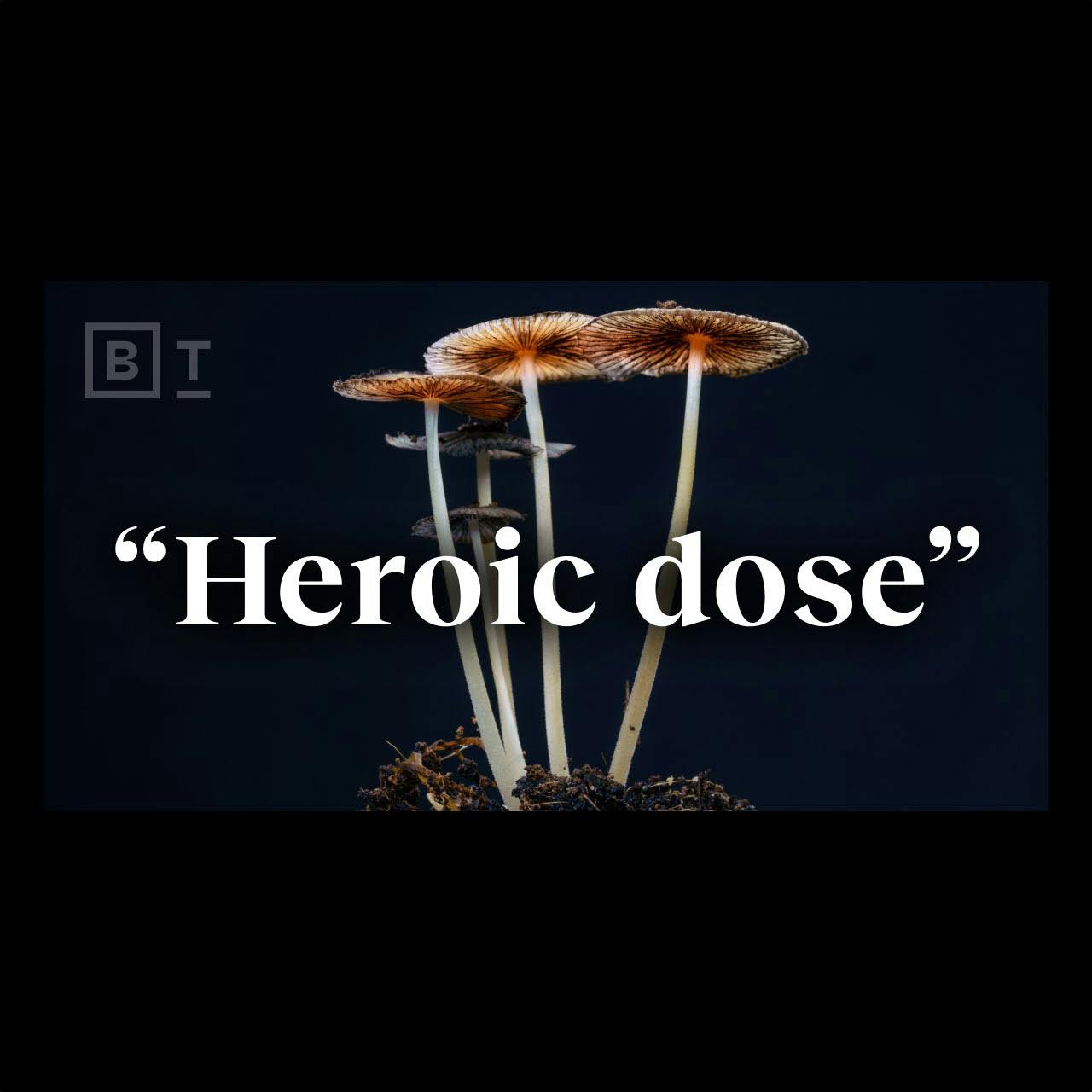 The “heroic dose” of psychedelics, according to Johns Hopkins | Dr. Matthew Johnson The “heroic dose” of psychedelics, according to Johns Hopkins | Dr. Matthew Johnson