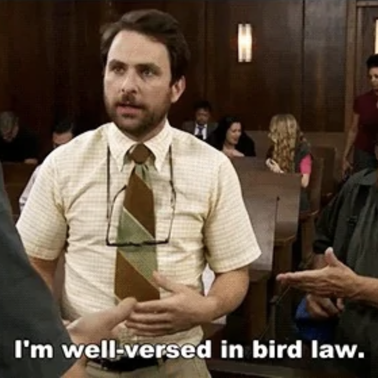 Notre Dame Football is well-versed in bird law episode artwork