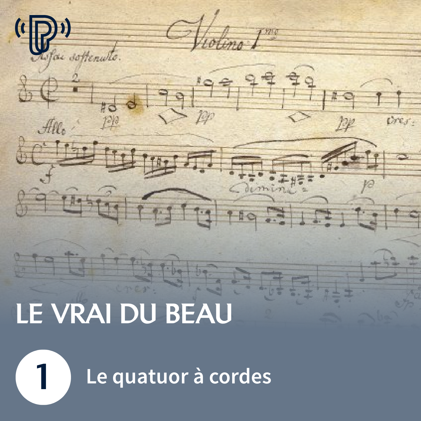 Le Quatuor à cordes | Le Vrai du Beau #1