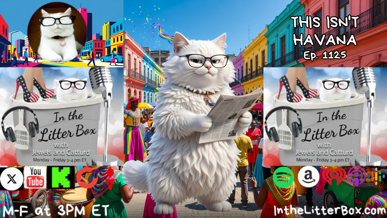 THIS ISN'T HAVANA | In the Litter Box w/ Jewels & Catturd – Ep. 1125 – 10/28/2026 episode artwork