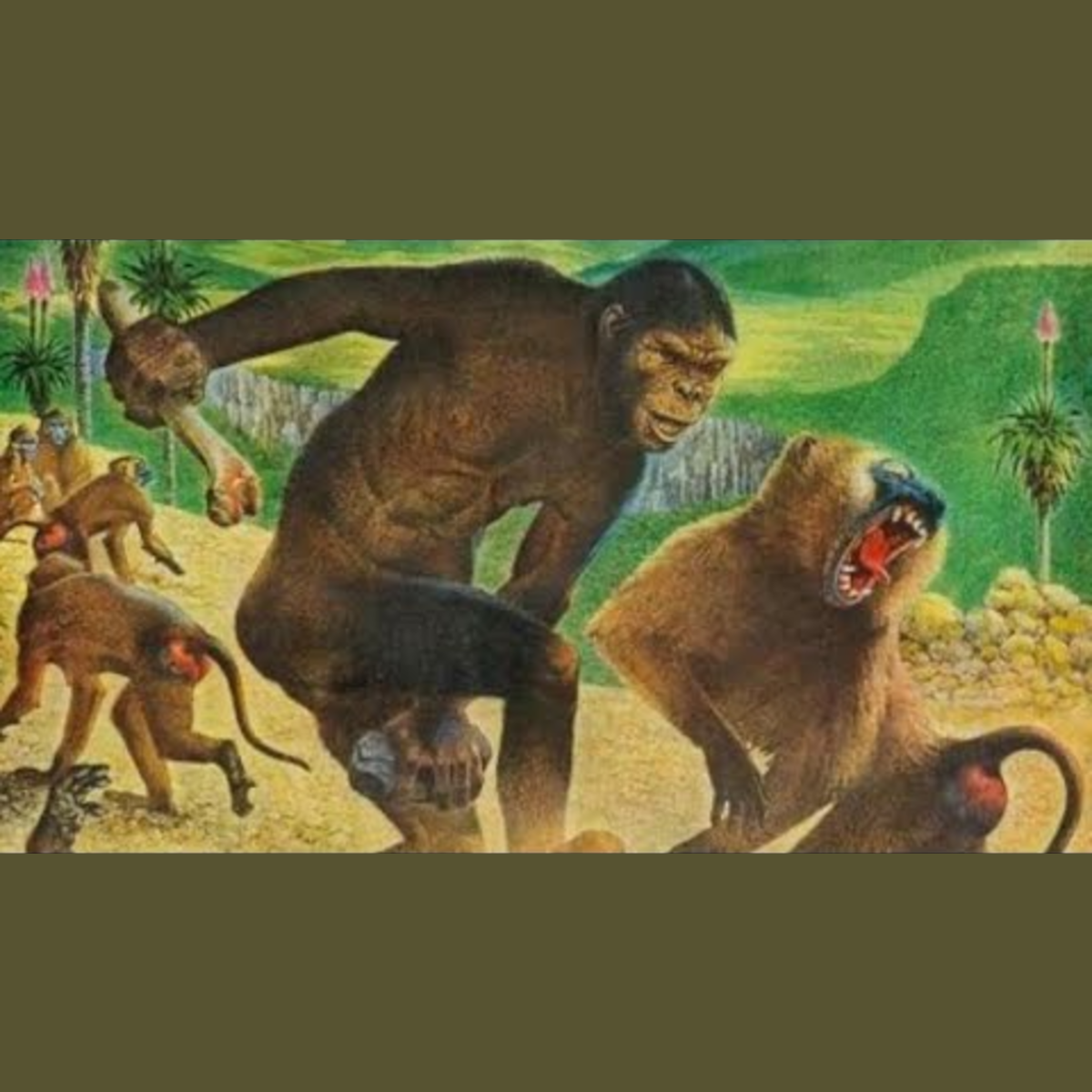 Have Chimps Entered the Stone Age? episode artwork