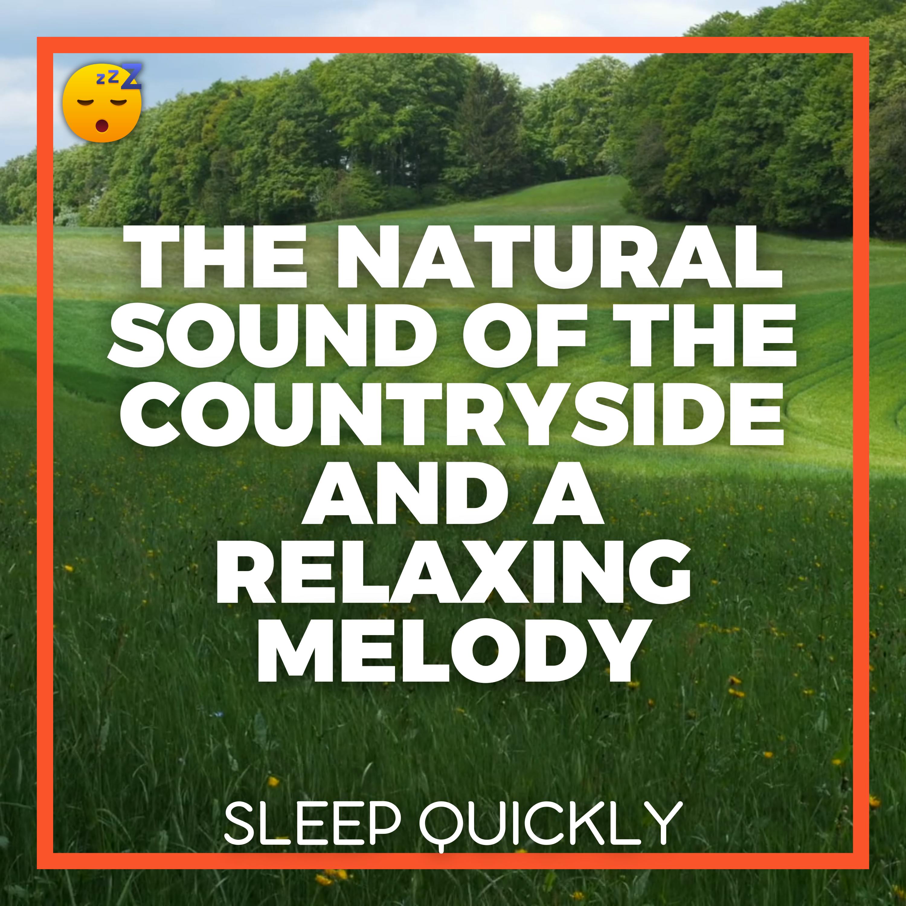 😴🍂🎵 The Natural Sound of the COUNTRYSIDE and a Relaxing MELODY for Peaceful SLEEP episode artwork