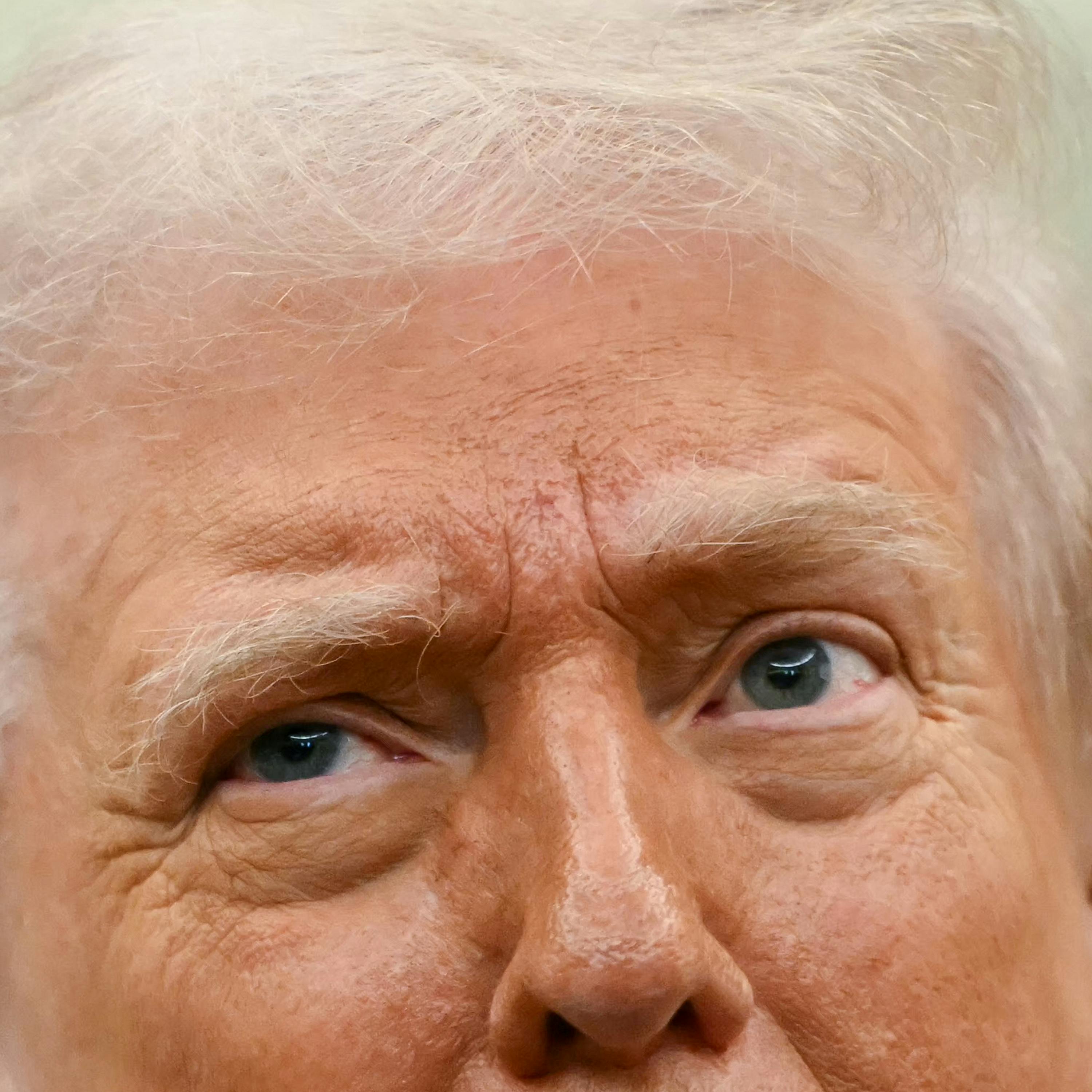 A War Begun on Instinct A War Begun on Instinct