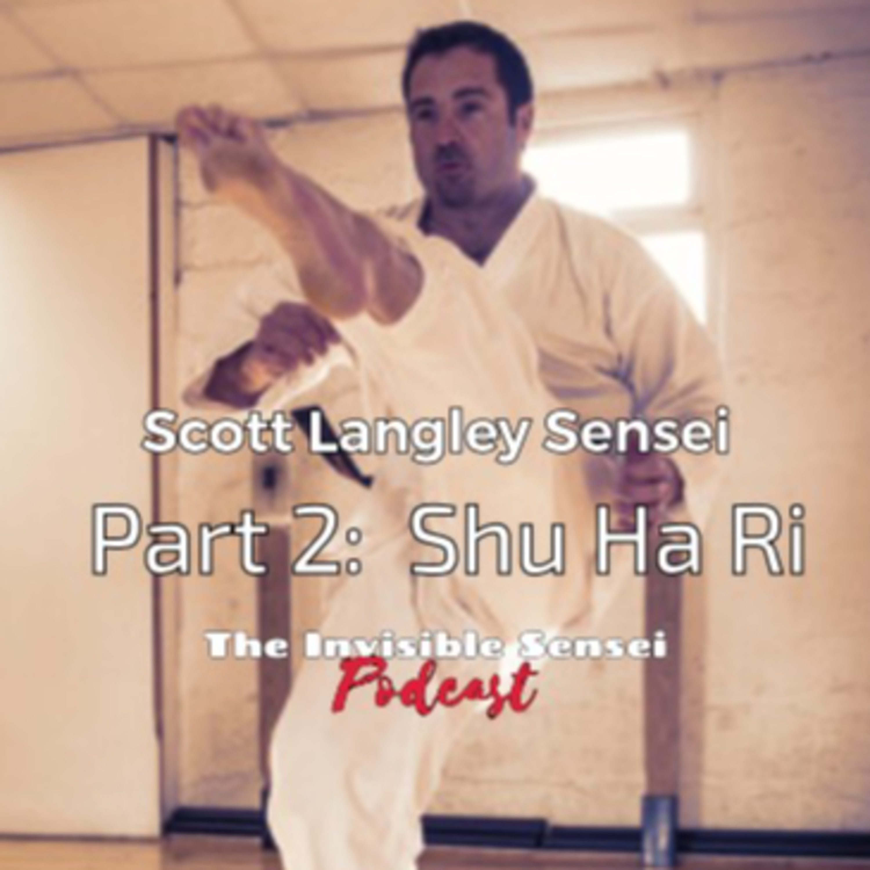 "Shu Ha Ri" Scott Langley Sensei part 2 of 3 episode artwork