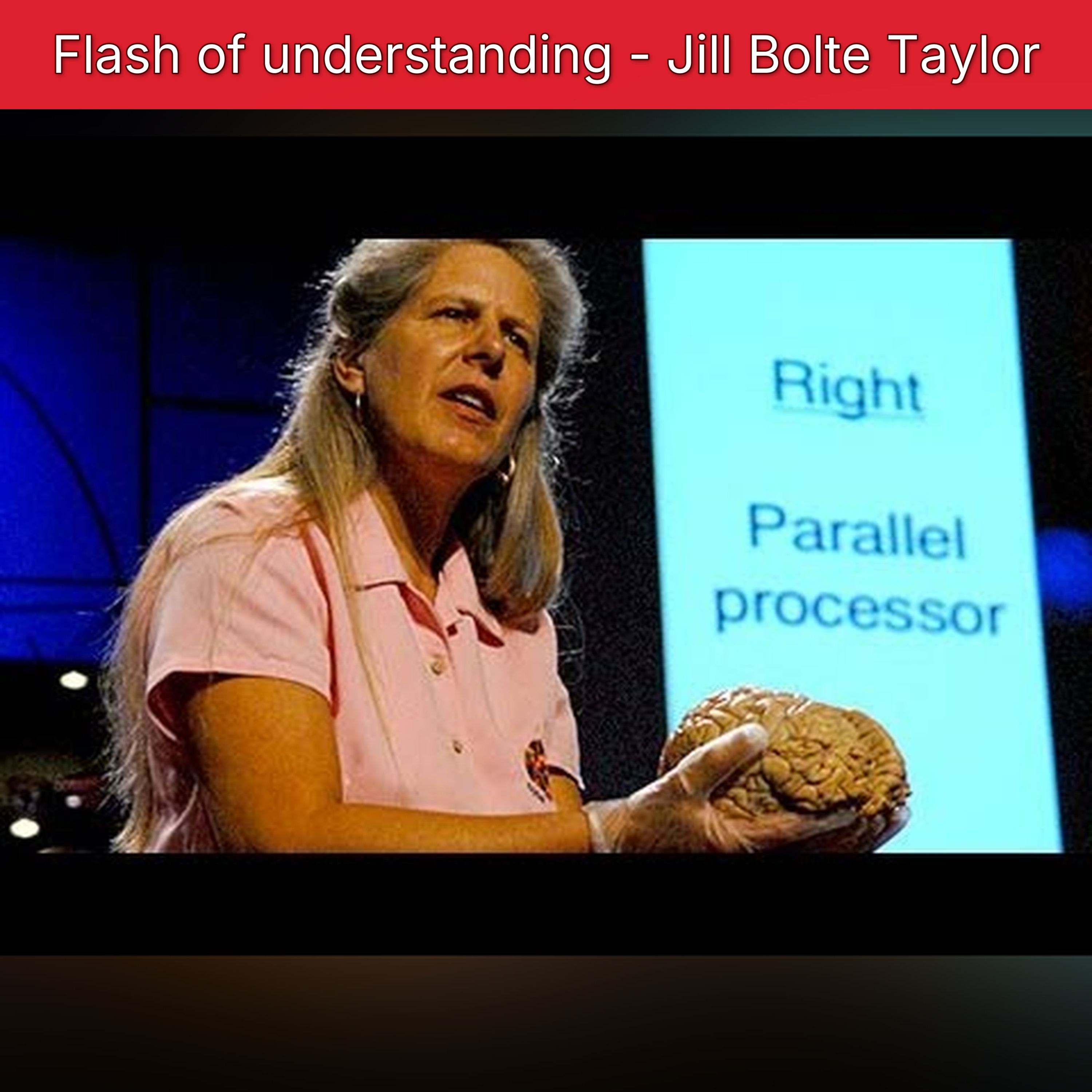Flash of understanding - Jill Bolte Taylor episode artwork