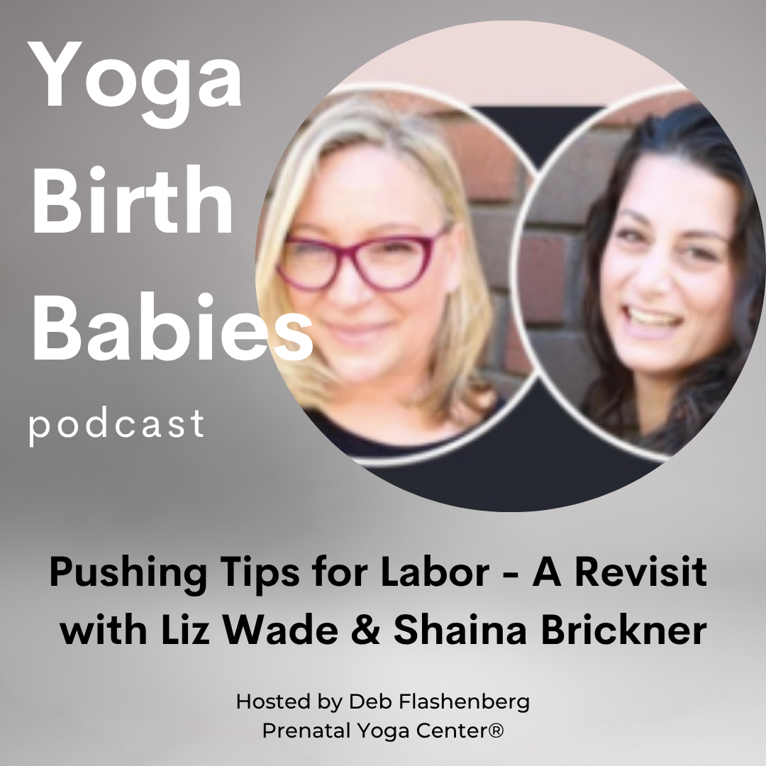 Pushing Tips for Labor with Liz Wade and Shaina Brickner - A Revisit episode artwork