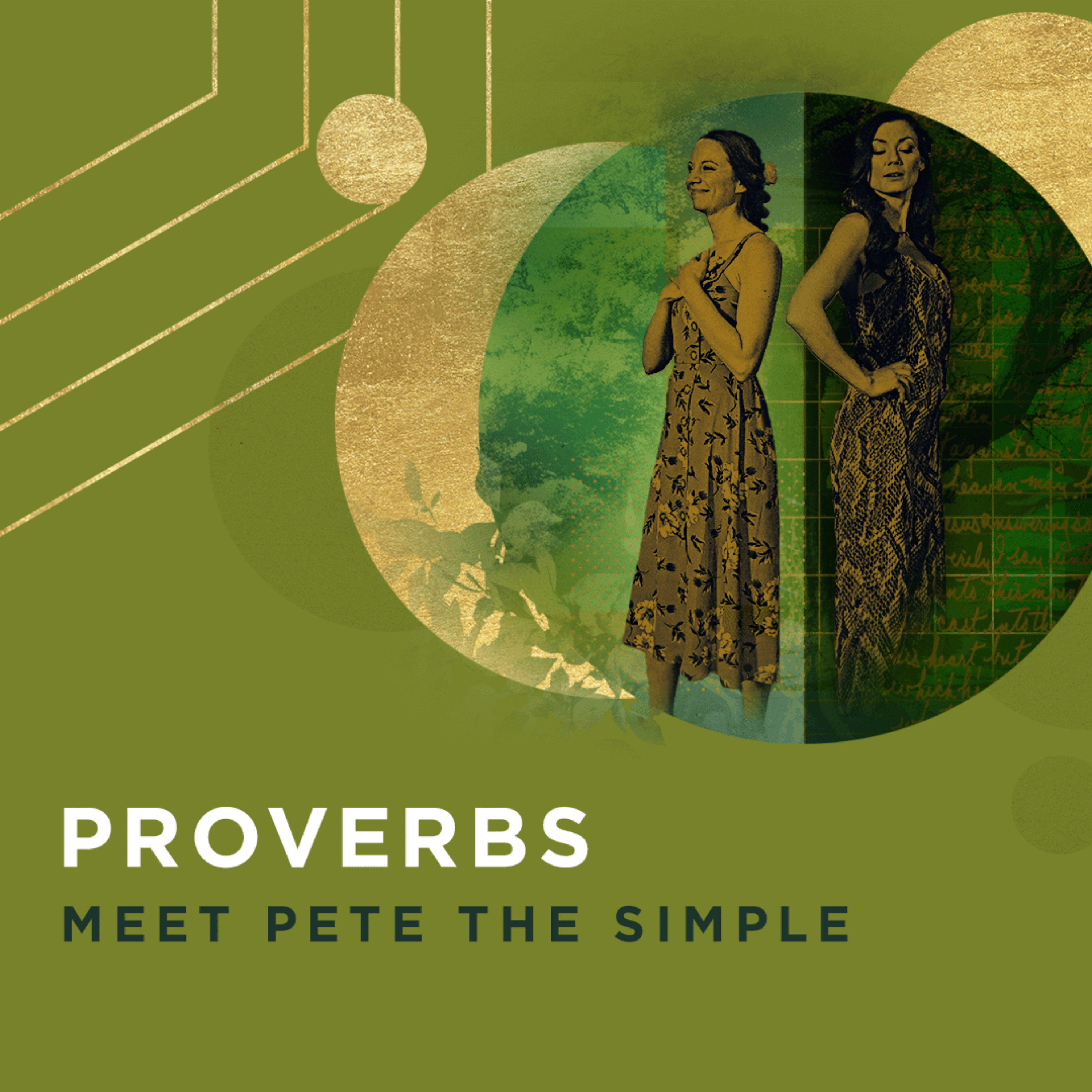 Proverbs Overview: Meet Pete the Simple episode artwork