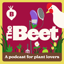 The Beet: A Podcast For Plant Lovers