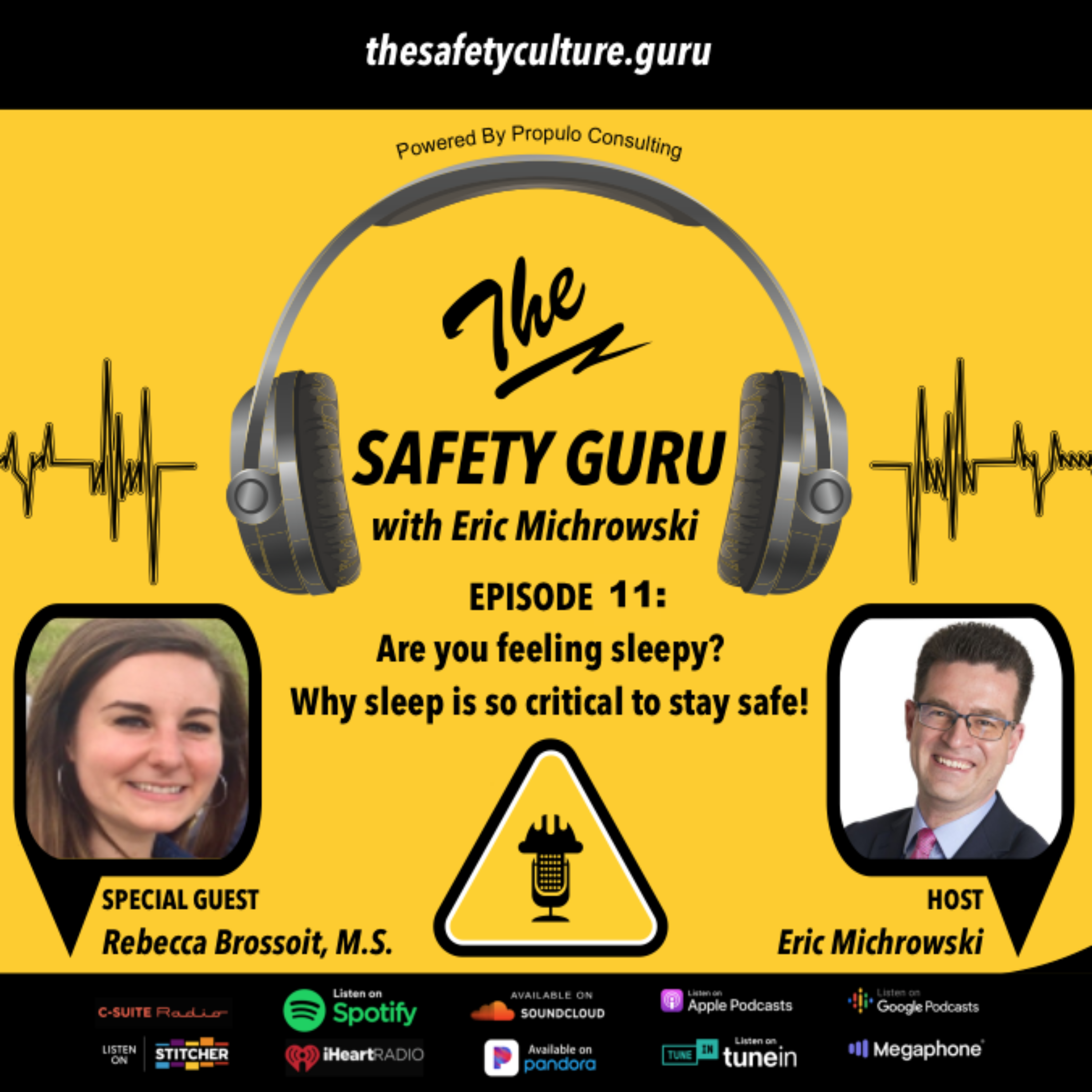 The Safety Guru