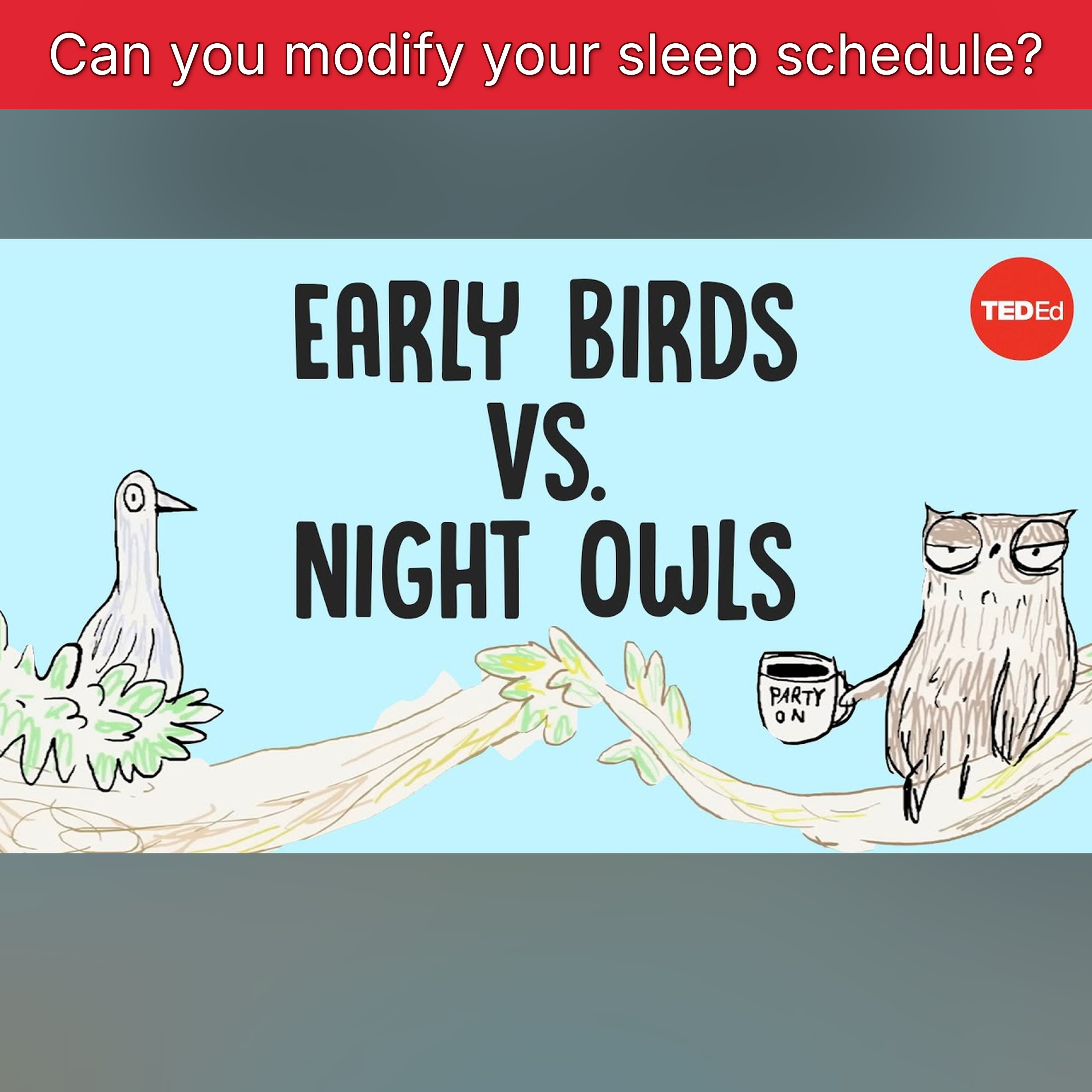 Can you modify your sleep schedule? episode artwork