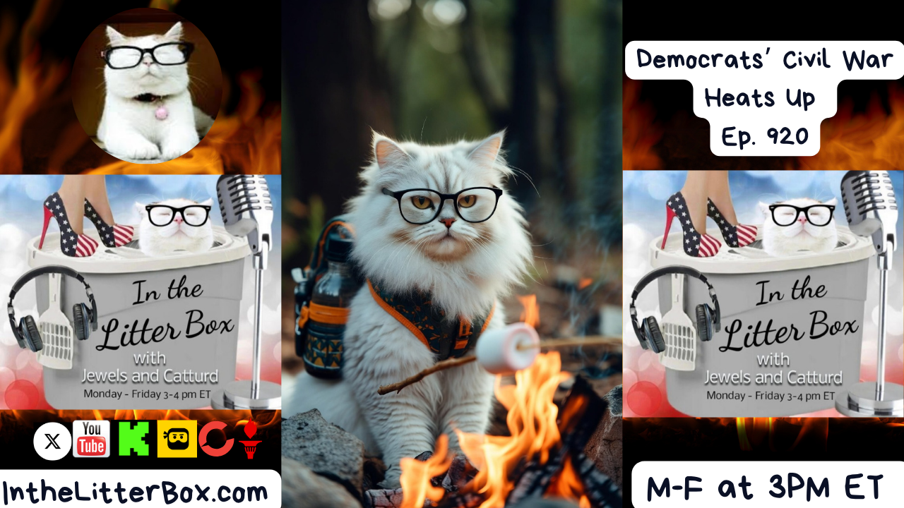 Democrats' Civil War Heats Up | In the Litter Box w/ Jewels & Catturd – Ep. 920 – 11/11/2025