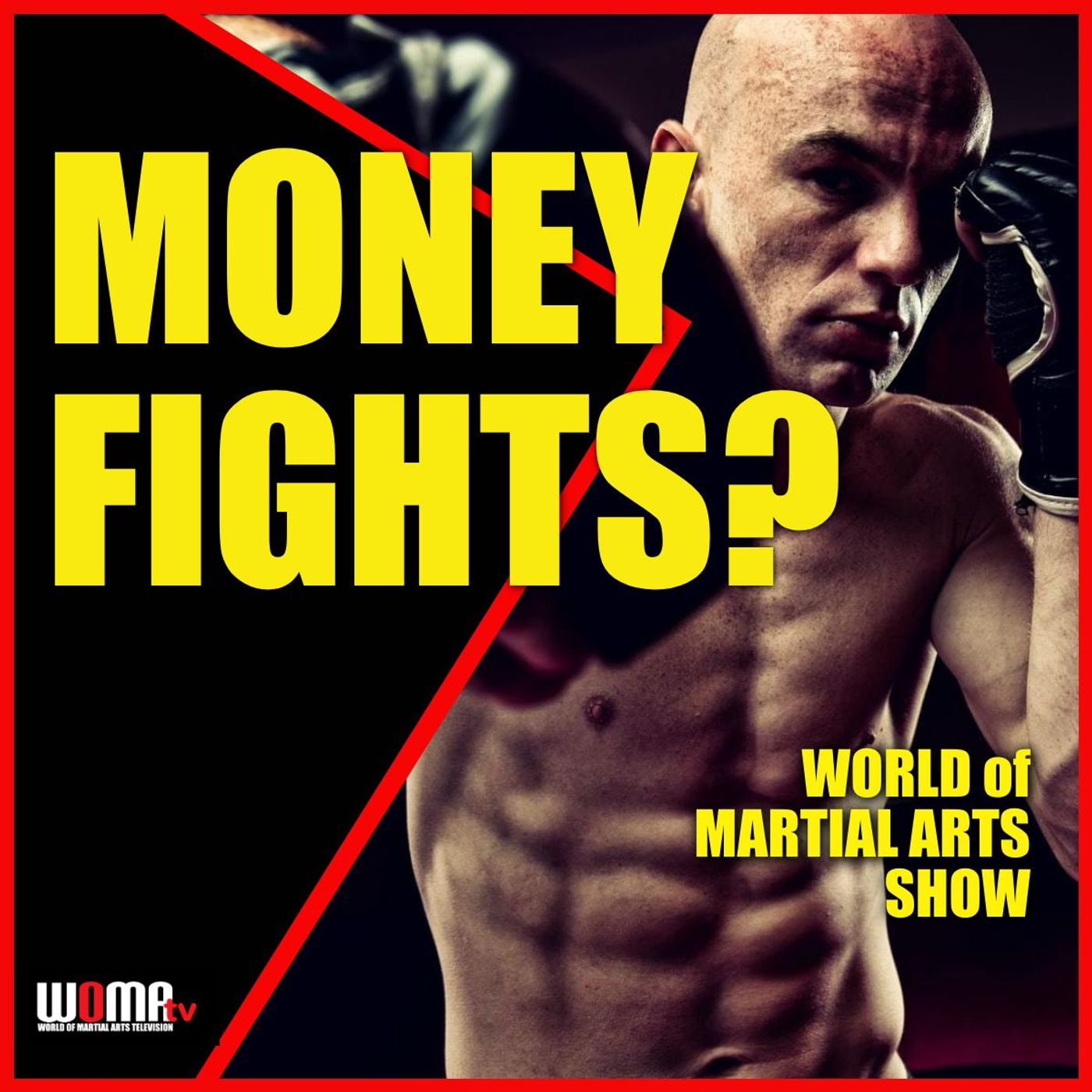 World of Martial Arts Show