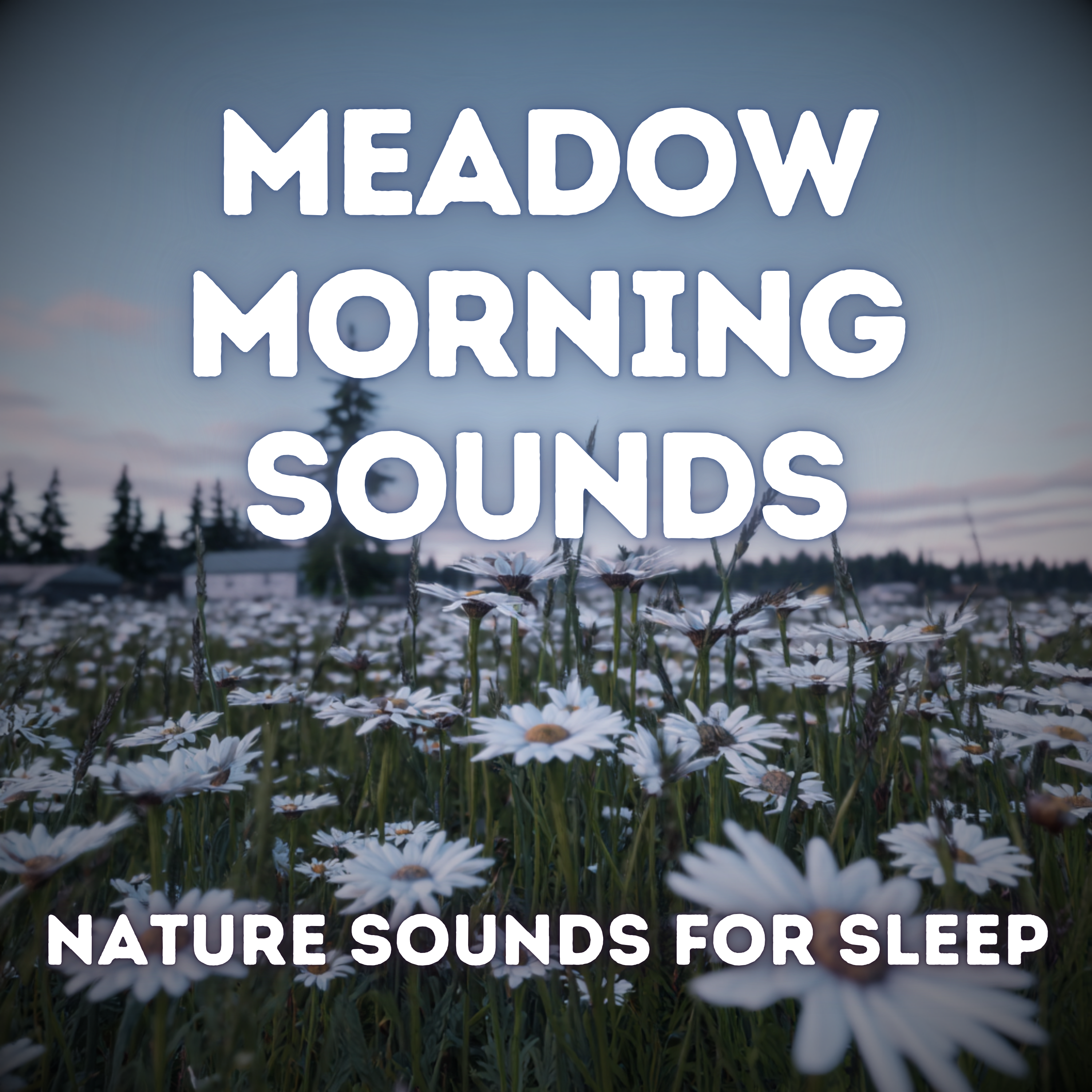 Meadow Morning — Birds, Breeze, and Awakening Light