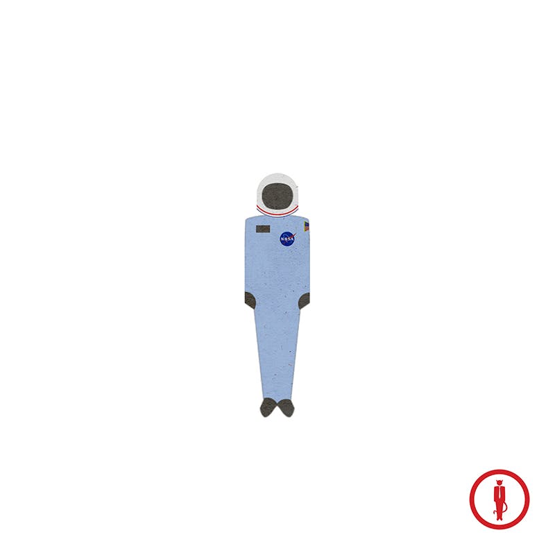56. The Space Program (Challenger Disaster)