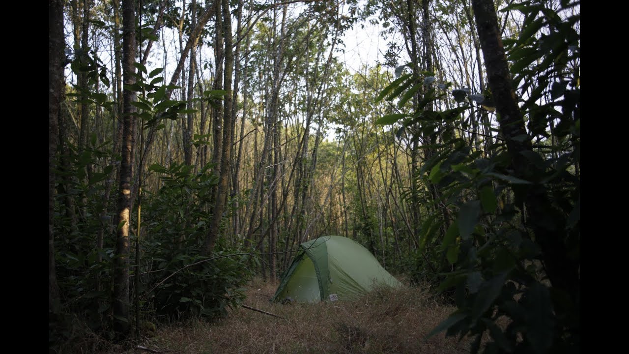 4 Freaky TRUE Camping Horror Stories episode artwork