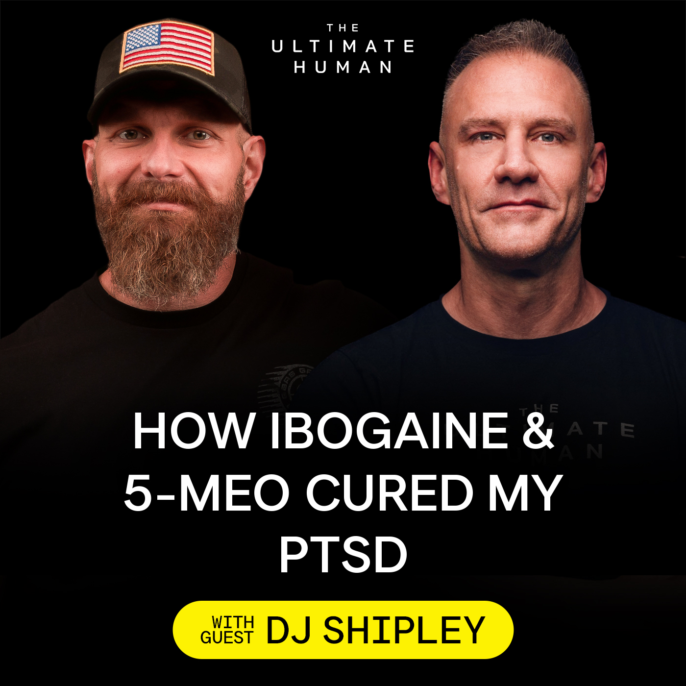 217. DJ Shipley: On Psychedelics, Discipline, PTSD & Rebuilding the Mind After War