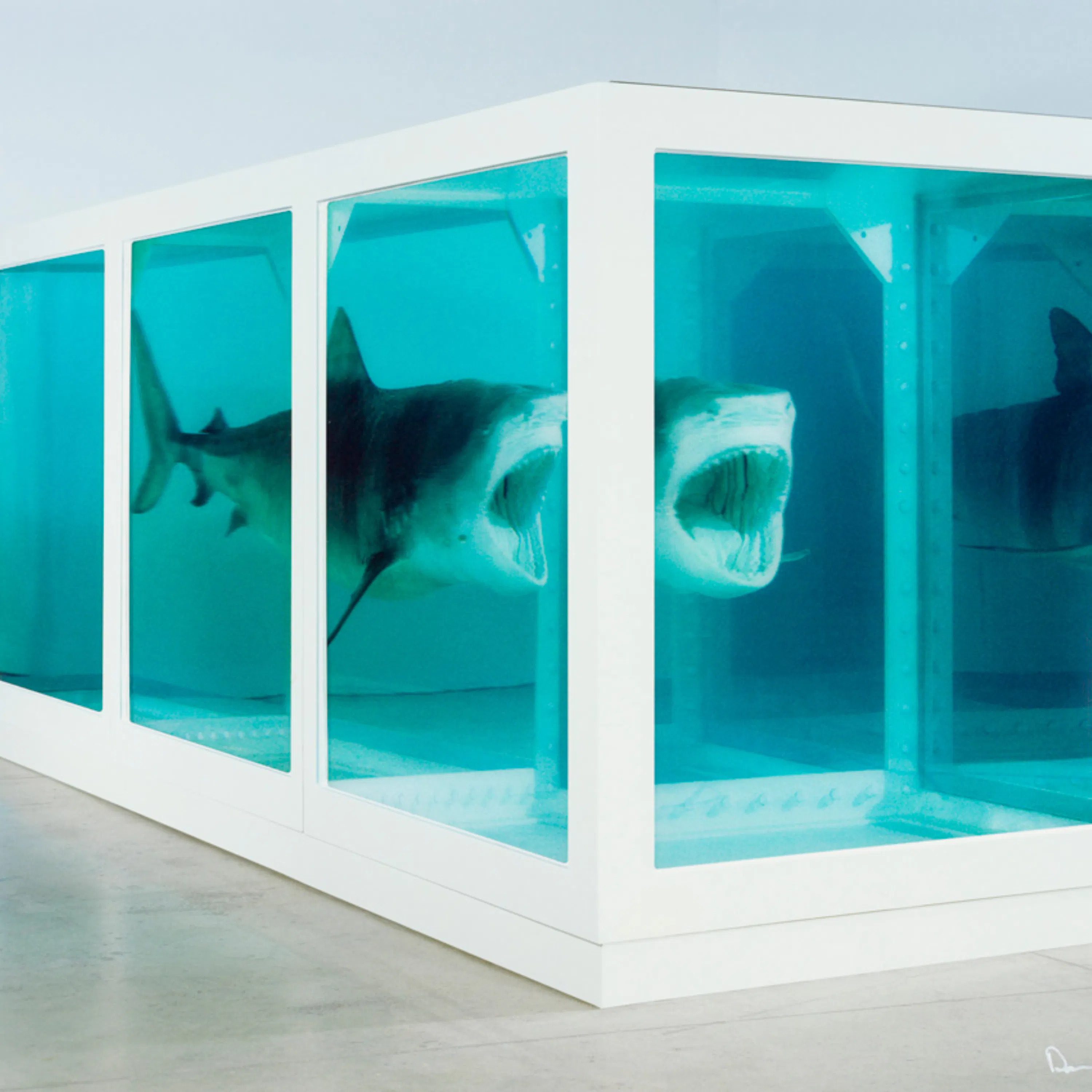 TLDR Damien Hirst | The Physical Impossibility of Death in the Mind of Someone Living episode artwork