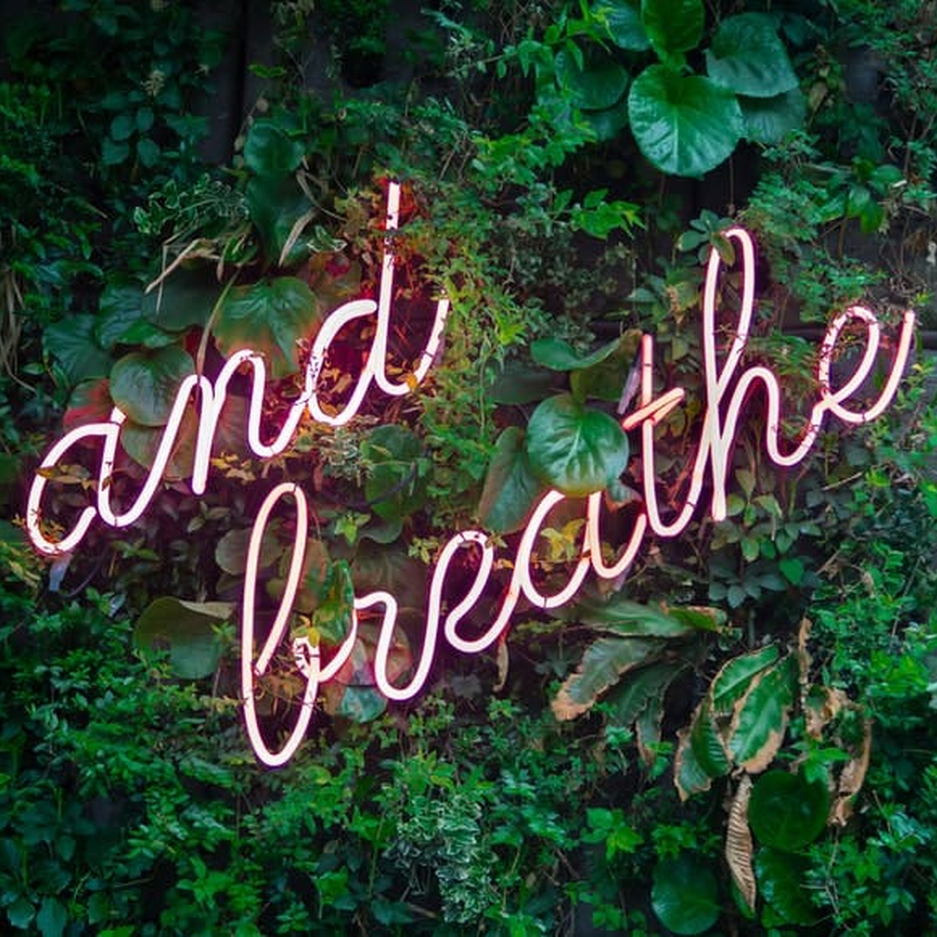Ep. 240: Be The Calm In The Storm