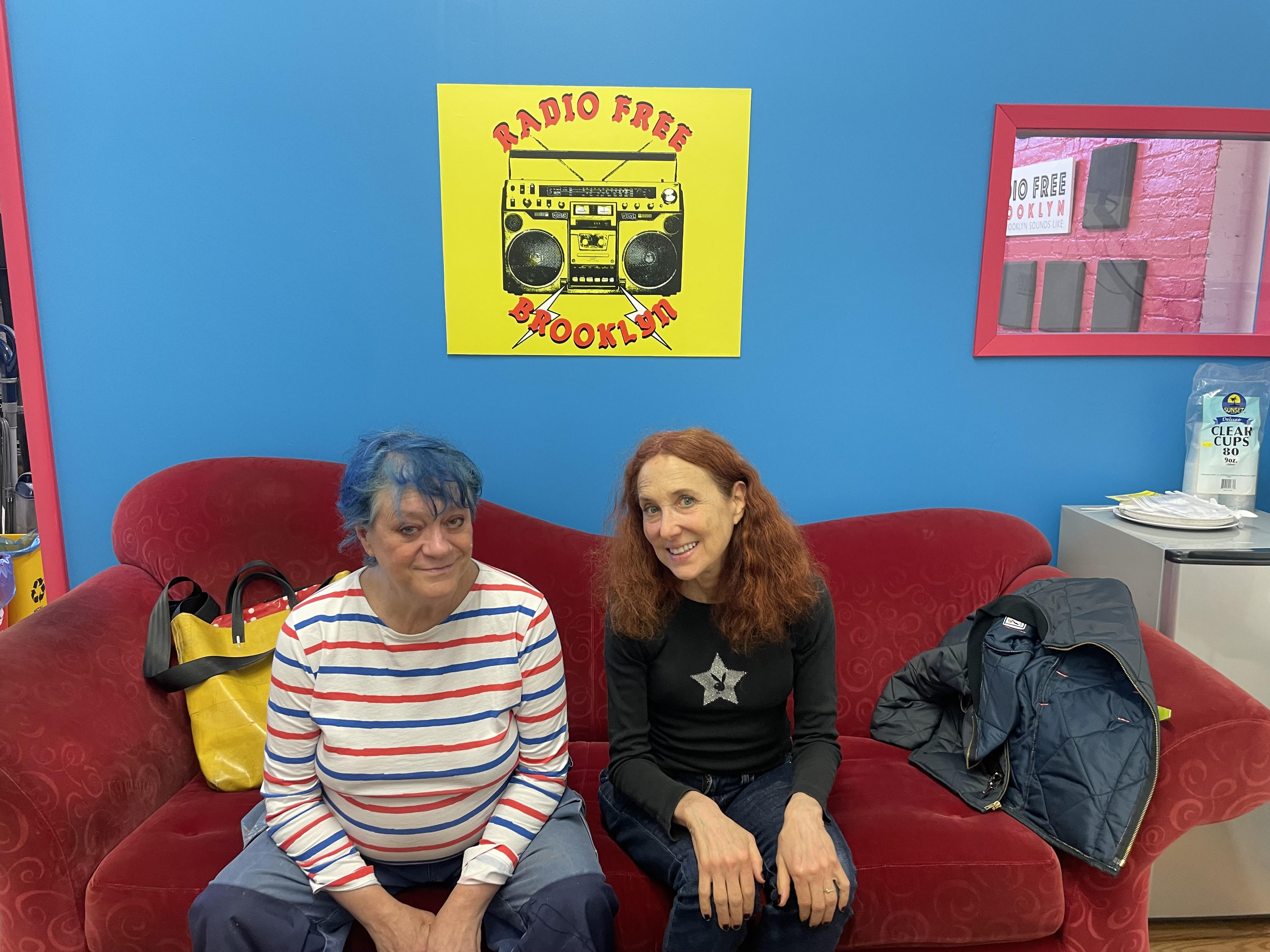 DLG342 Author, designer, painter, and educator, Laurie Rosenwald is an advocate for making mistakes. episode artwork